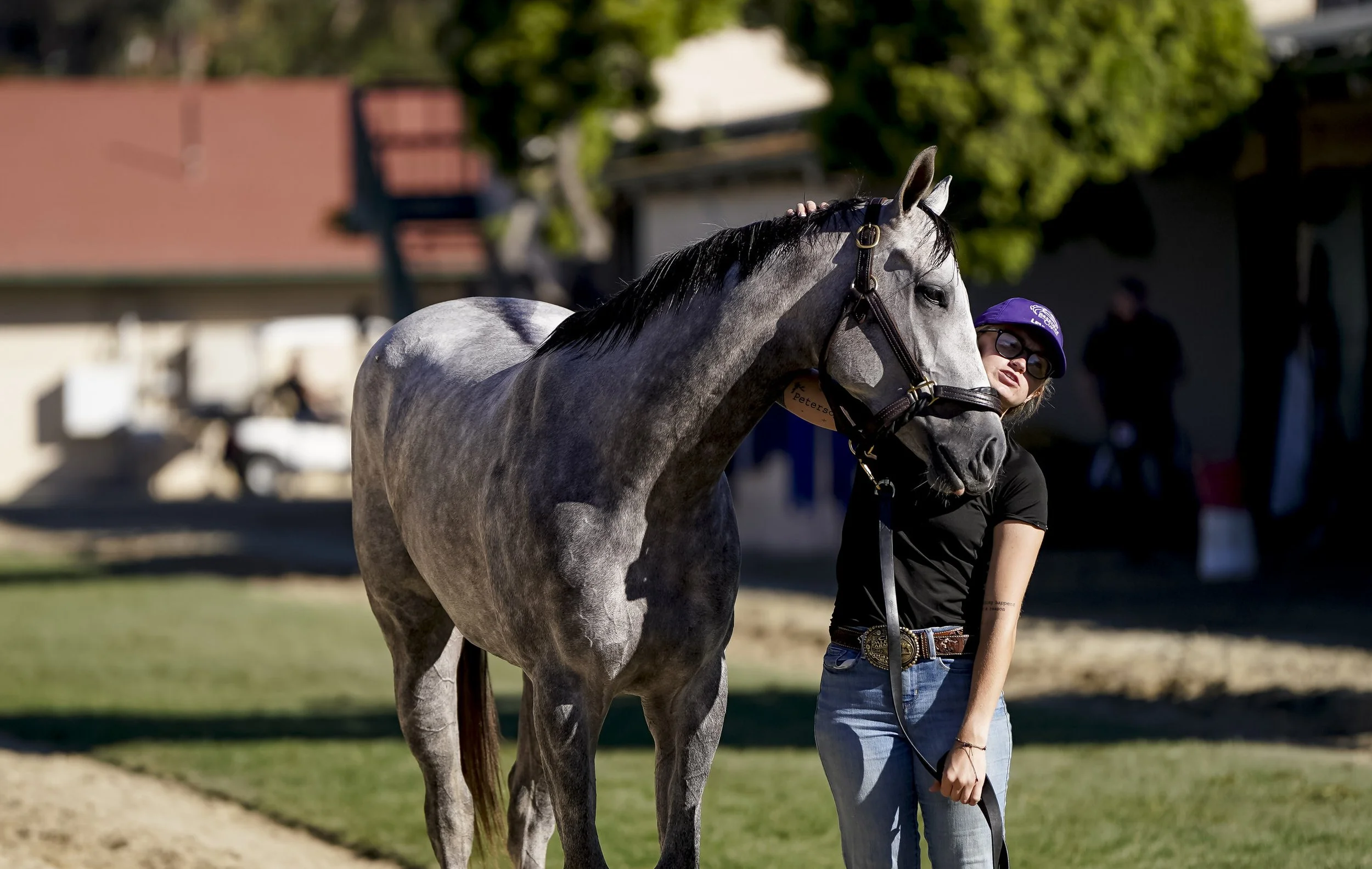 A woman with sunglasses and a purple cap standing next to a gray Thoroughbred horse outdoors in a sunny setting.