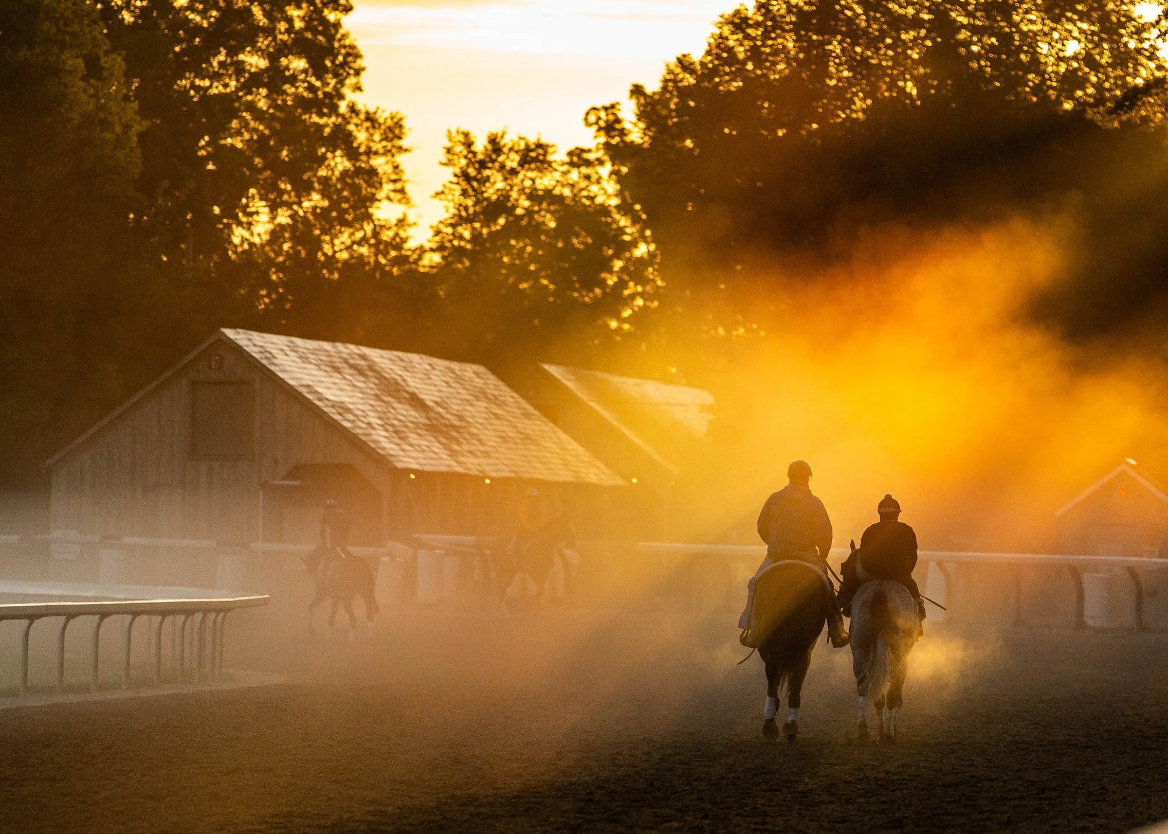 Racehorses training in early morning light, showing the routine and atmosphere behind racehorse ownership