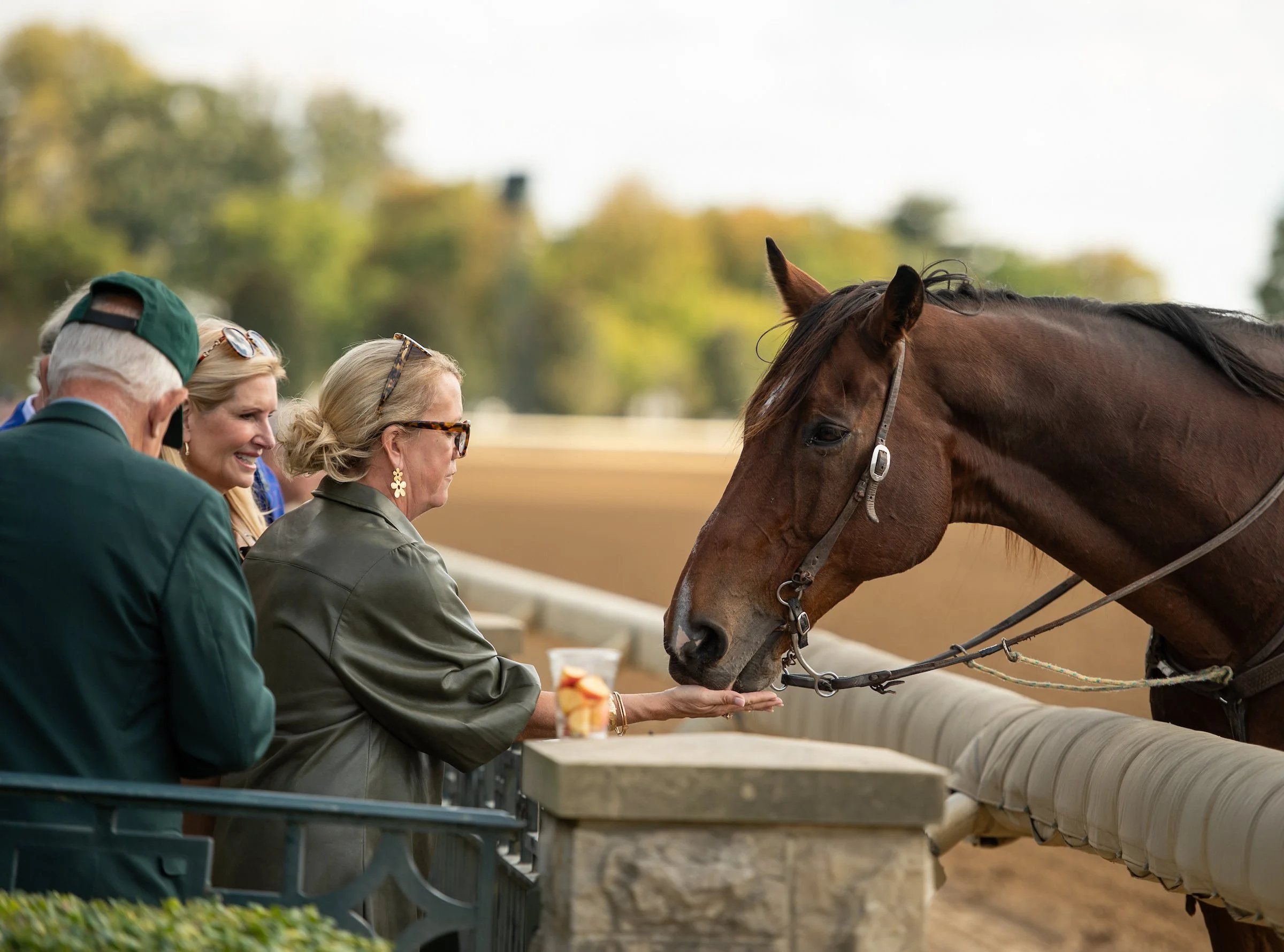 People interacting with a racehorse at the track, reflecting America’s Best Racing’s approach to making ownership accessible