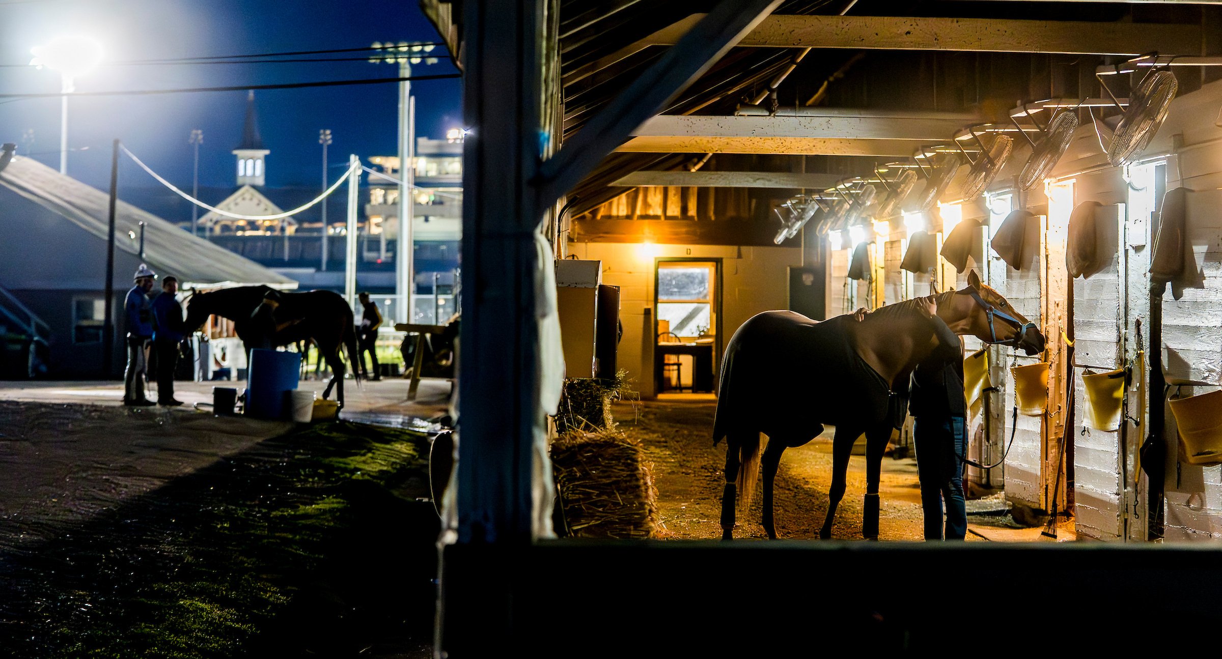 Racehorse being cared for in a stable at night, showing the responsibility and day-to-day commitment of full ownership