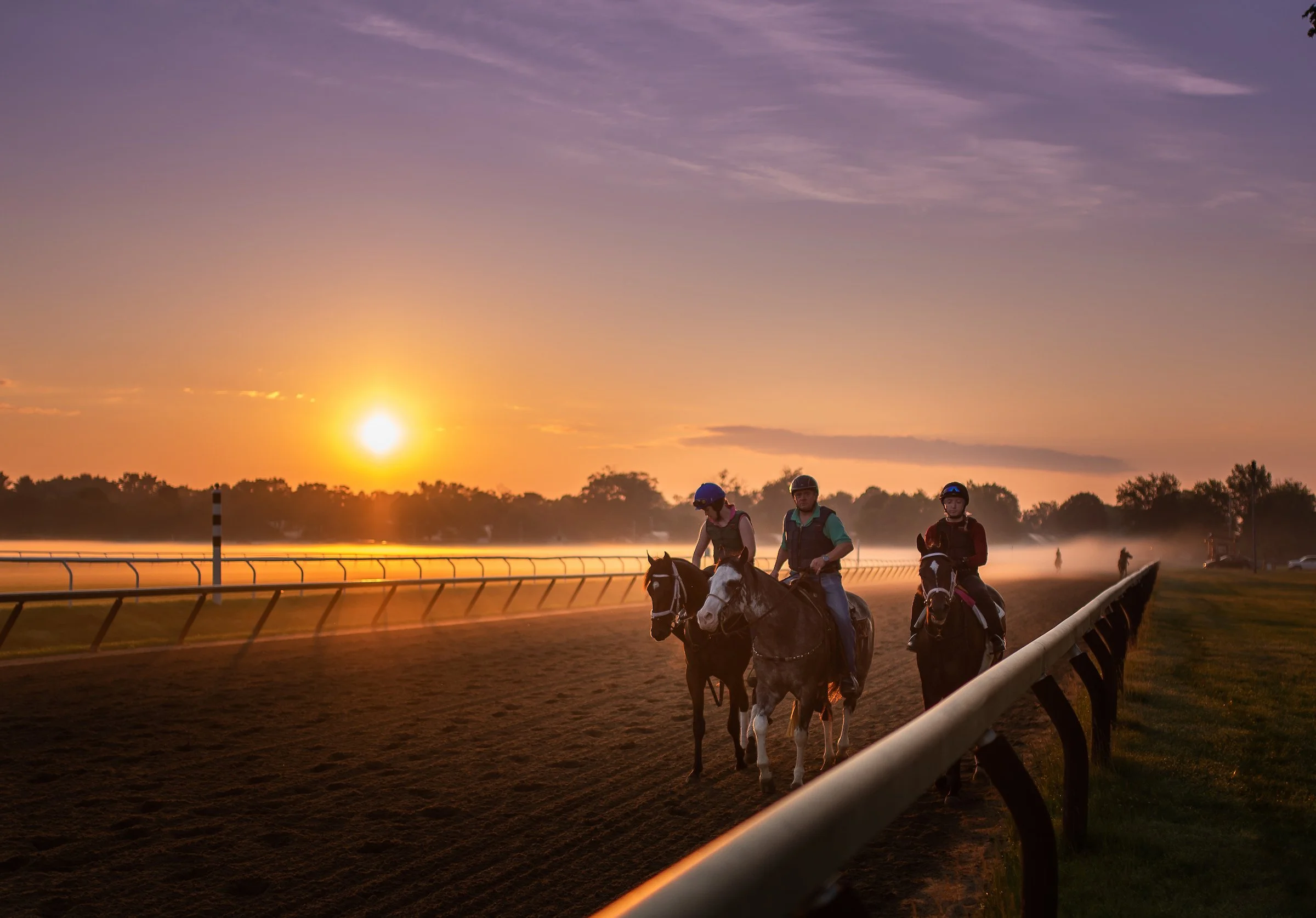 Racehorses training at sunrise on the track, representing the journey into racehorse ownership