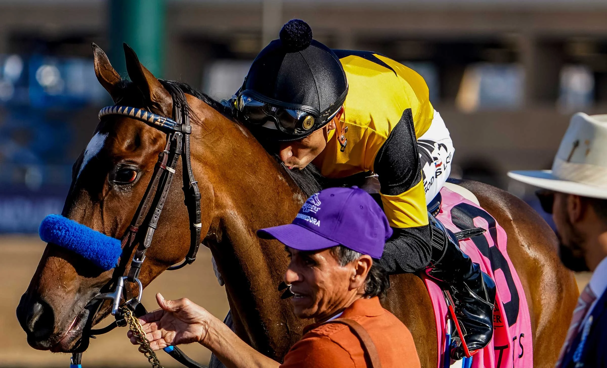 Jockey riding a racehorse connects with an owner after a race, highlighting the experience of racehorse ownership