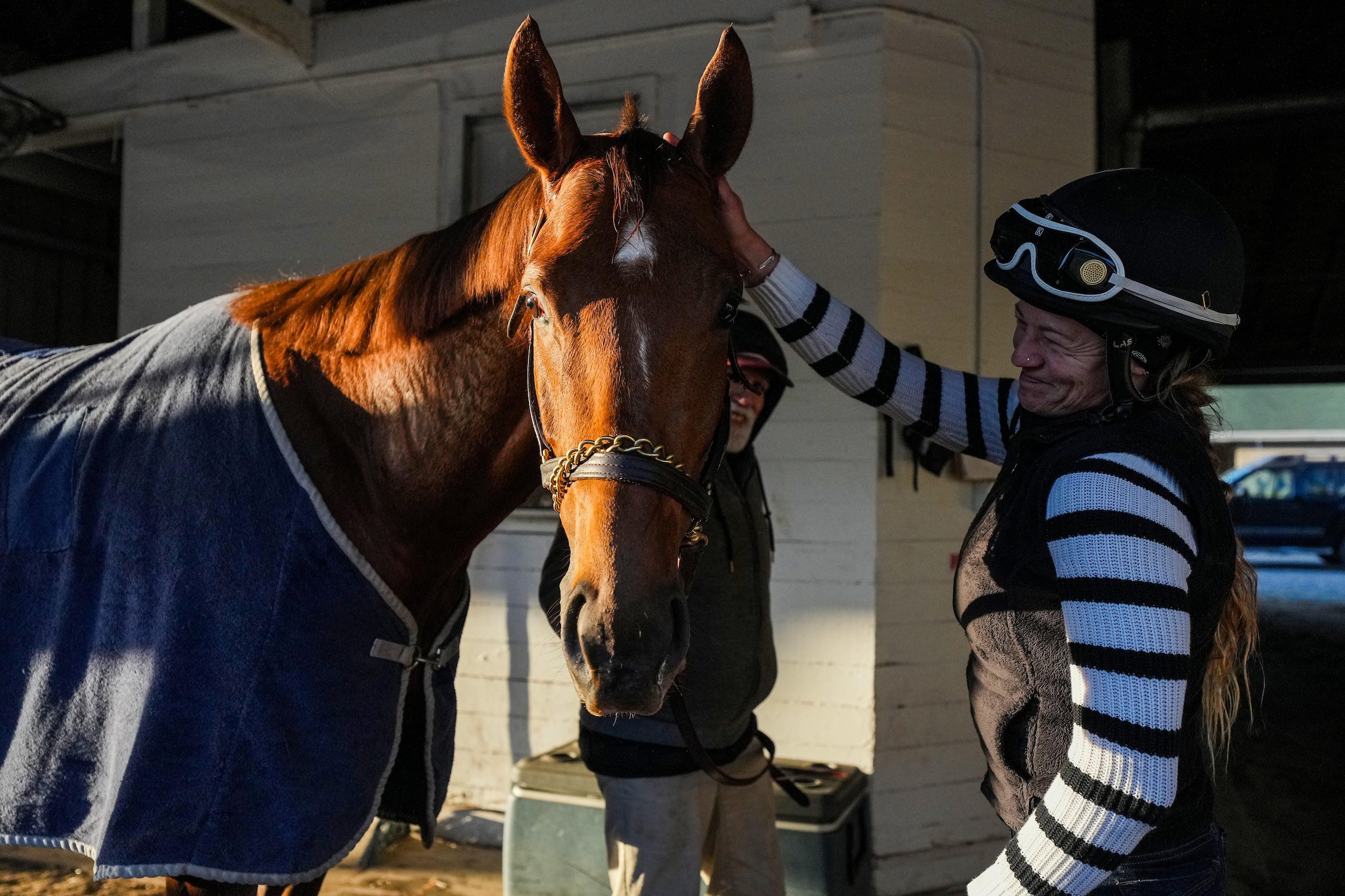 Racehorse at a stable with handler, showing behind-the-scenes care