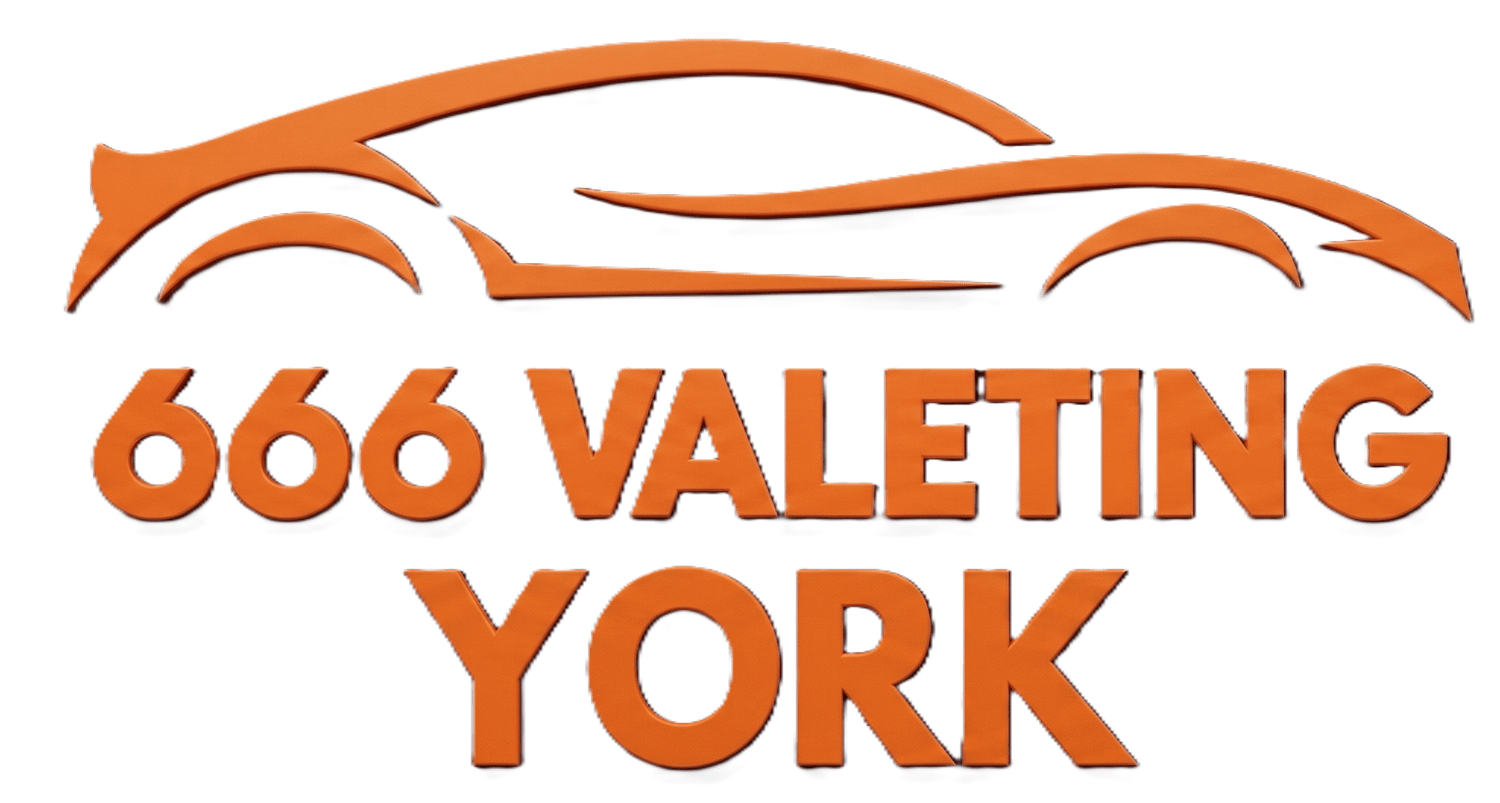 666 VALETING