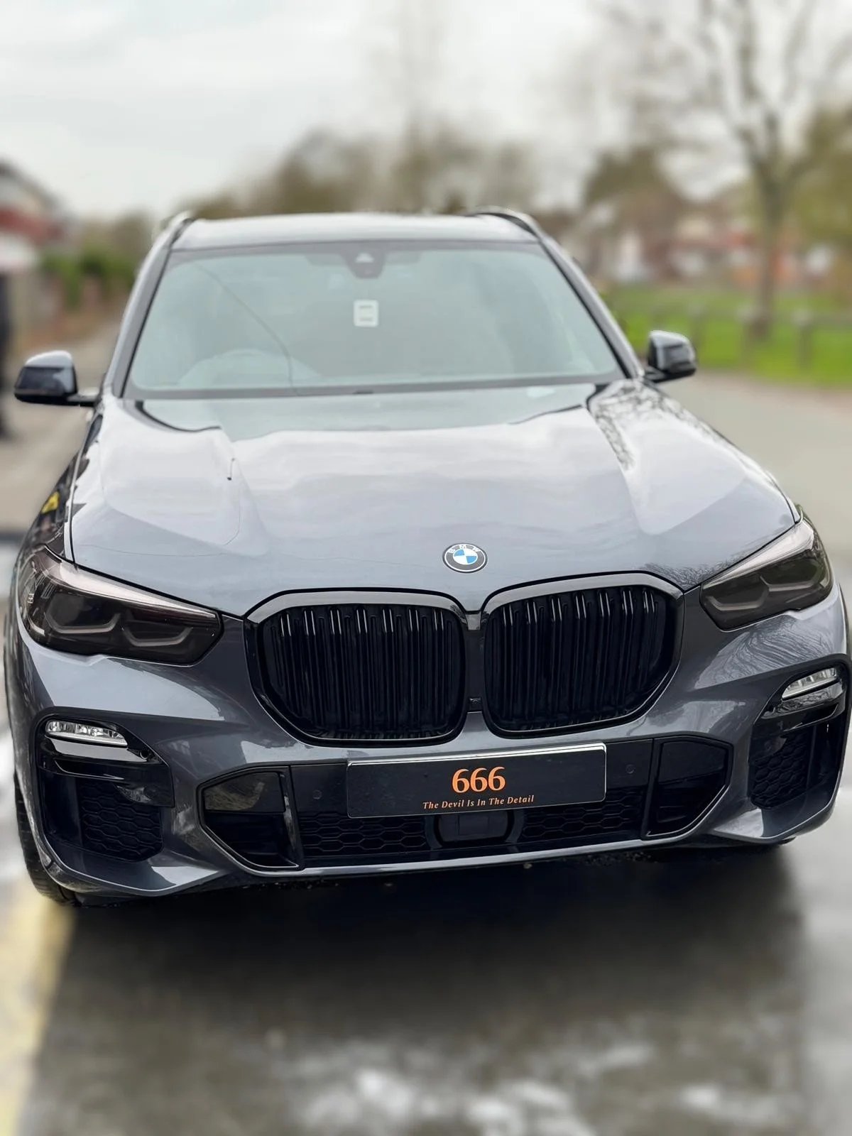 Front view of a black BMW car with a custom license plate reading '666' and a slogan 'The Devil Is In The Detail'.