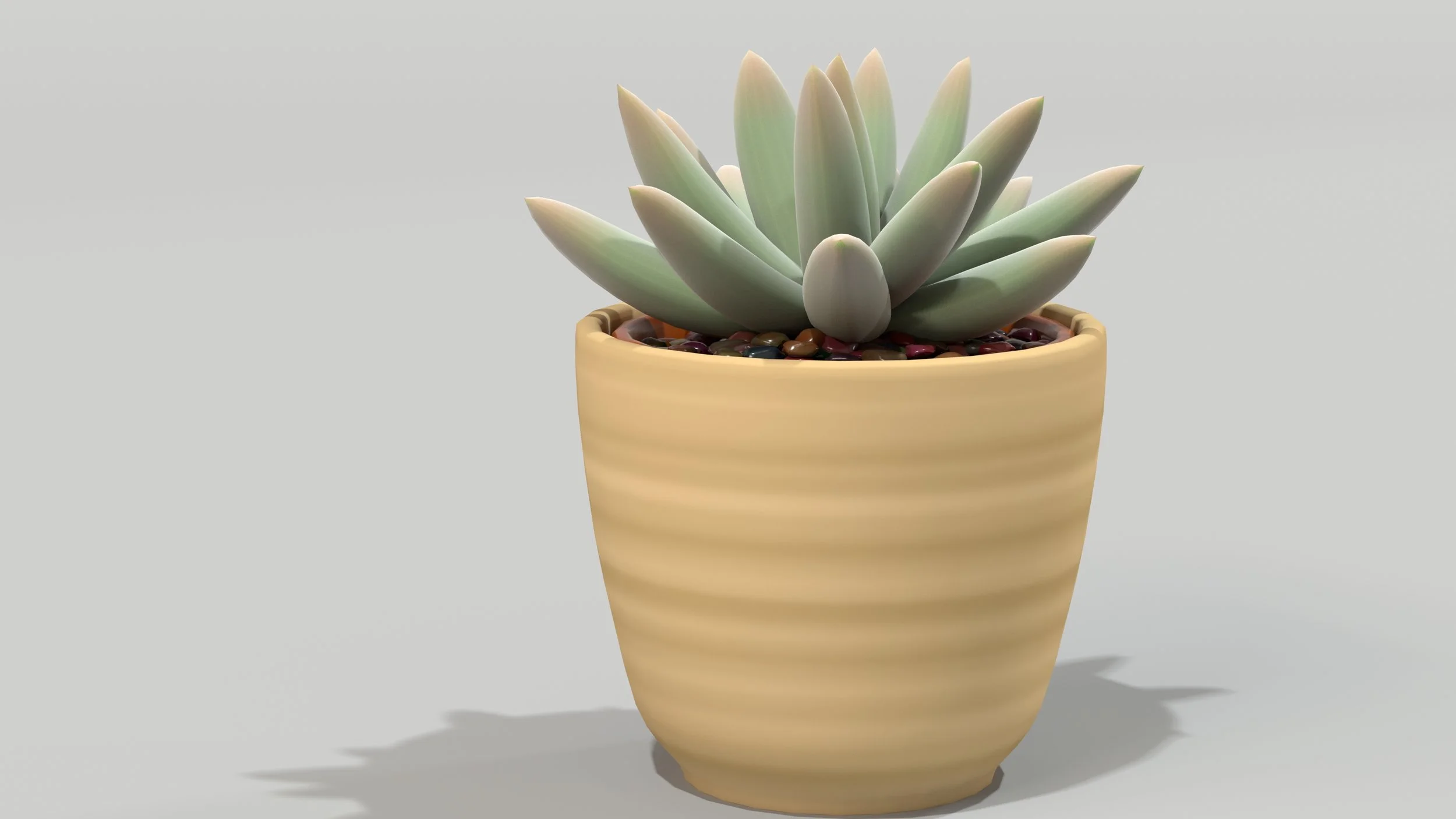 Houdini rendered succulent using COPS shaders