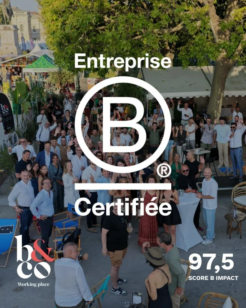 Solution Transition accompagne Bureaux and Co dans leur démarche RSE et leur certification BCORP