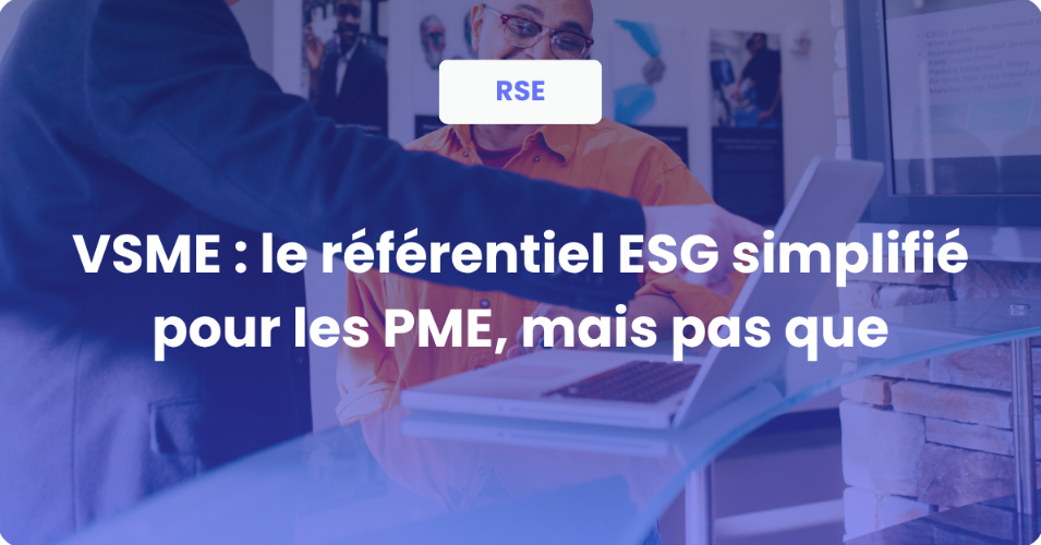 VSME : comment faire un rapport de durabilité pour une PME ?