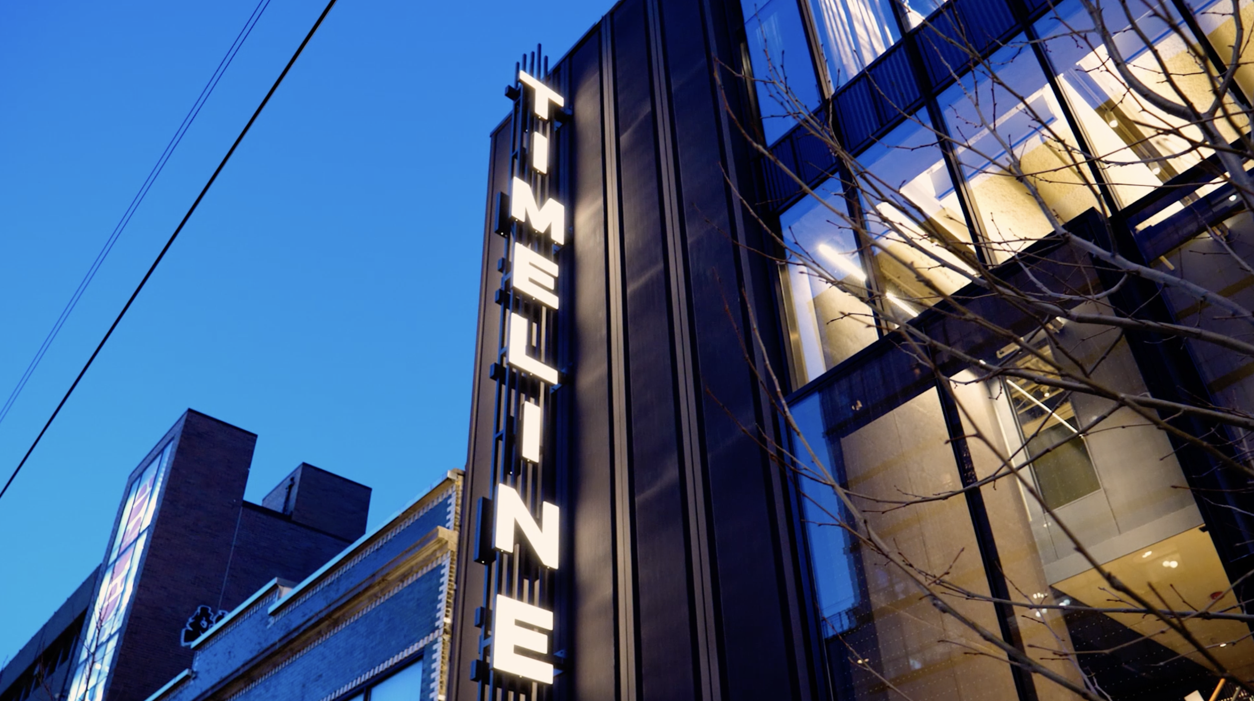 Timeline Theatre Company