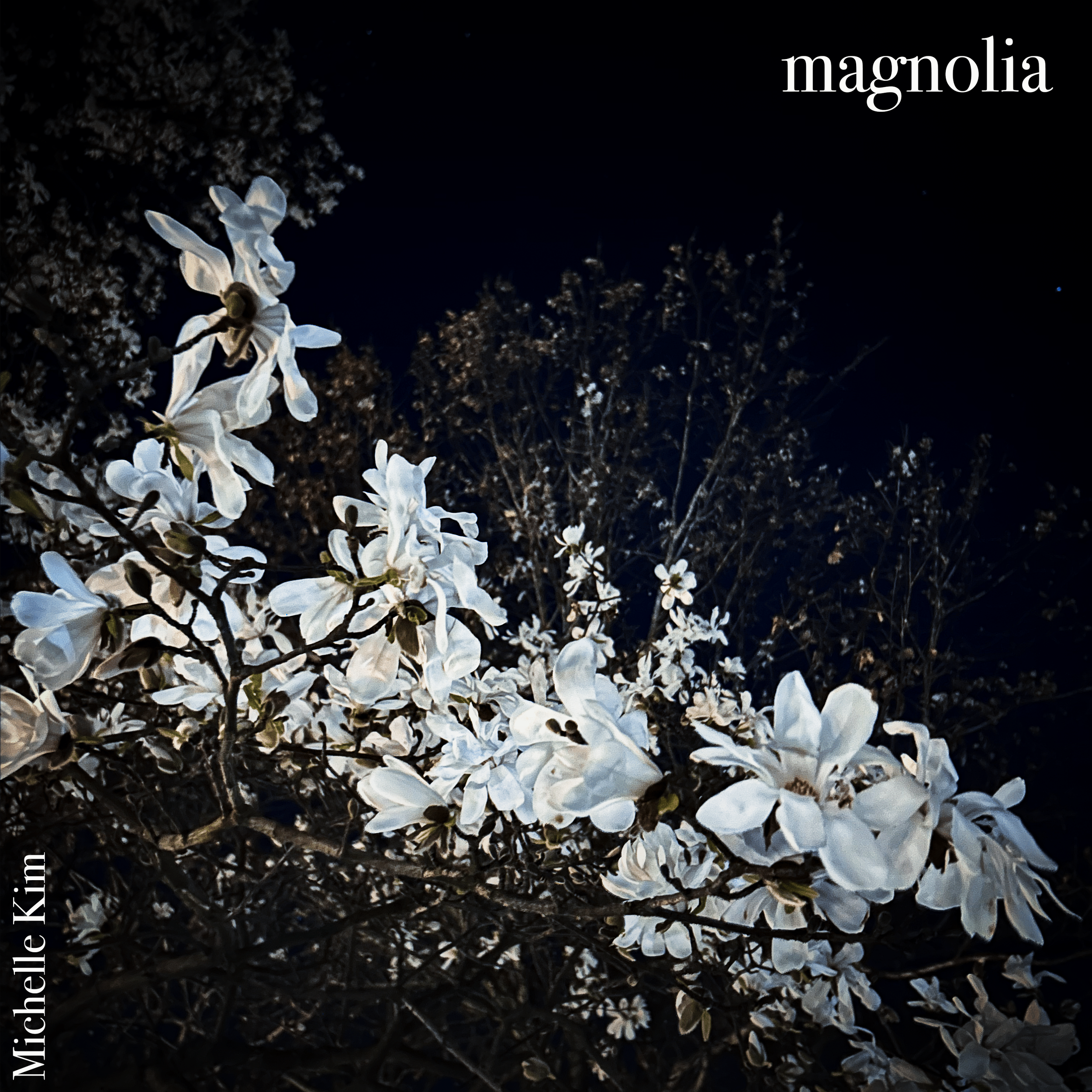 Magnolia (Orchestra)