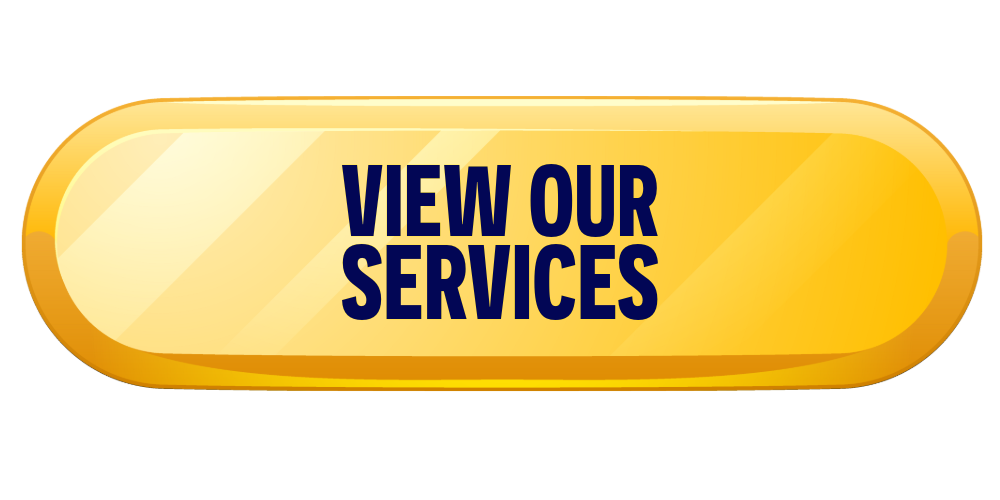 Yellow oval button with the text "VIEW OUR SERVICES" in bold navy blue letters