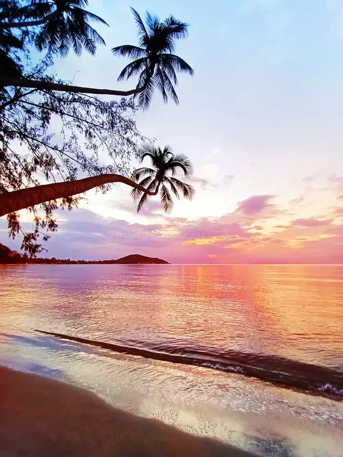 A sunset with trees hanging over resembling paradise