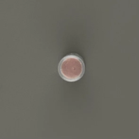 IMG_7428.jpeg