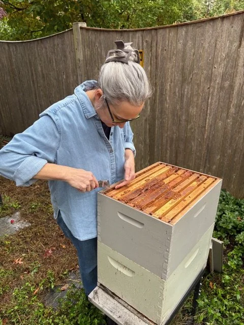 A woman with gray hair and wearing glasses and a denim shirt, tending to a small beehive in front of a wooden fence.
