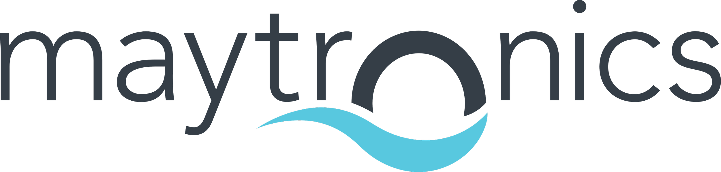 Maytronics logo in black and blue.