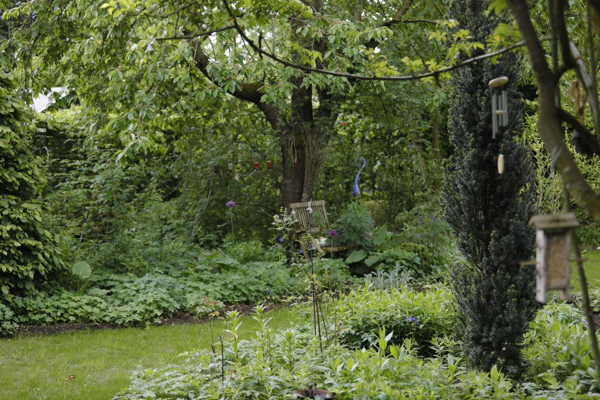 Garten mit Bäumen, Pflanzen, einer Sitzbank, Windspielen und Rasenstücken