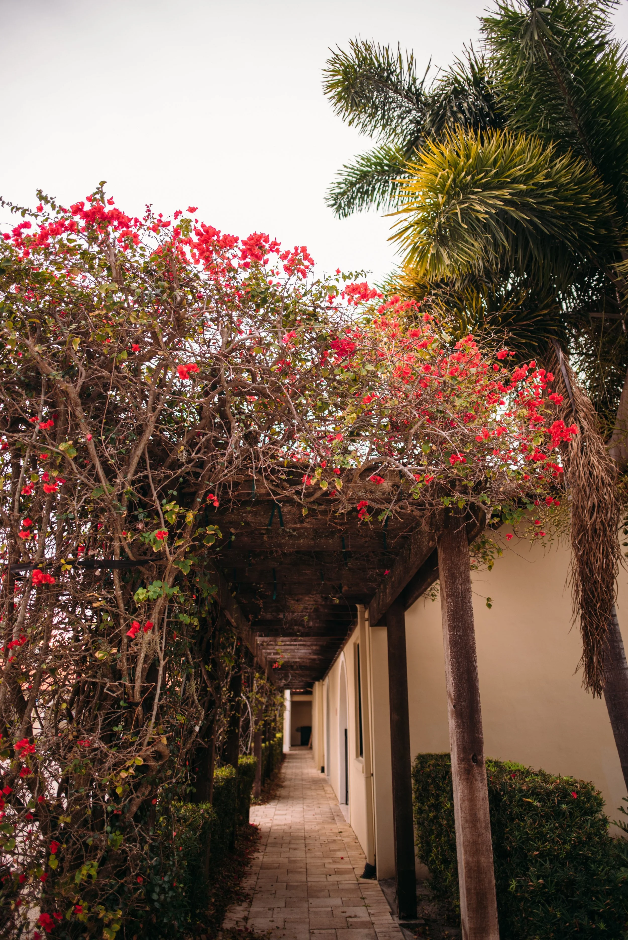 DSC_6736 Smaller.jpg