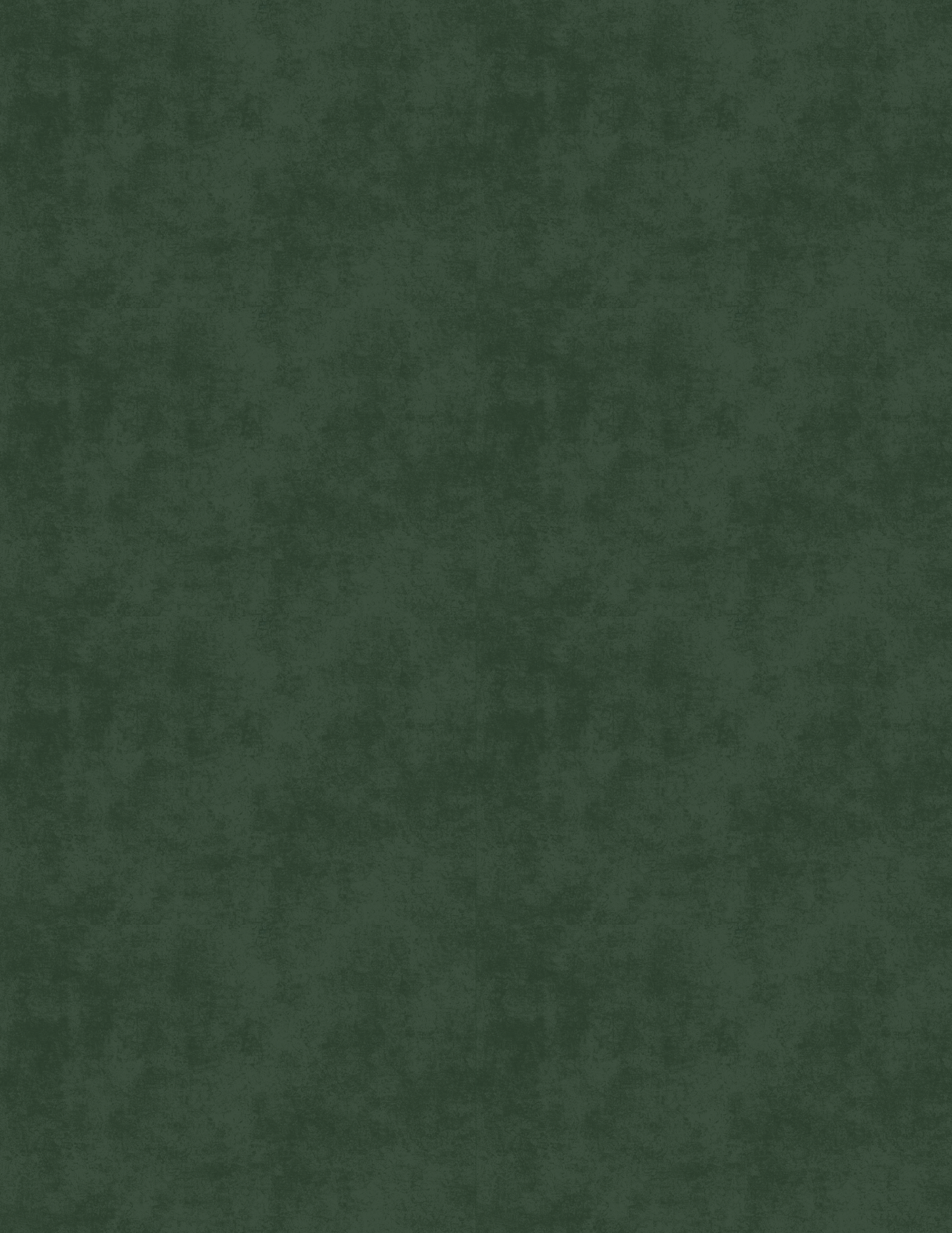 BG BACKGROUND DARKER.png