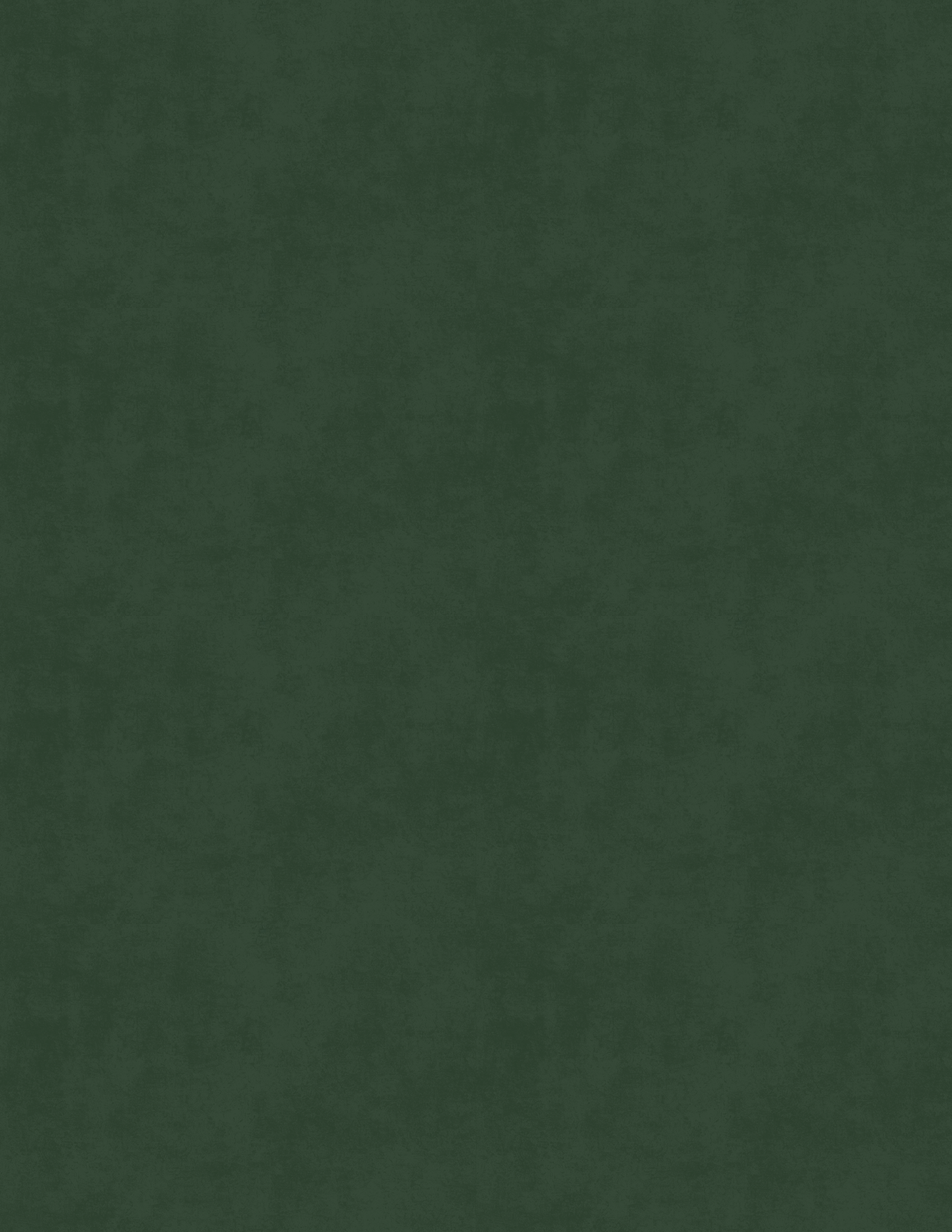 CA BG WORKSTATION (8).png
