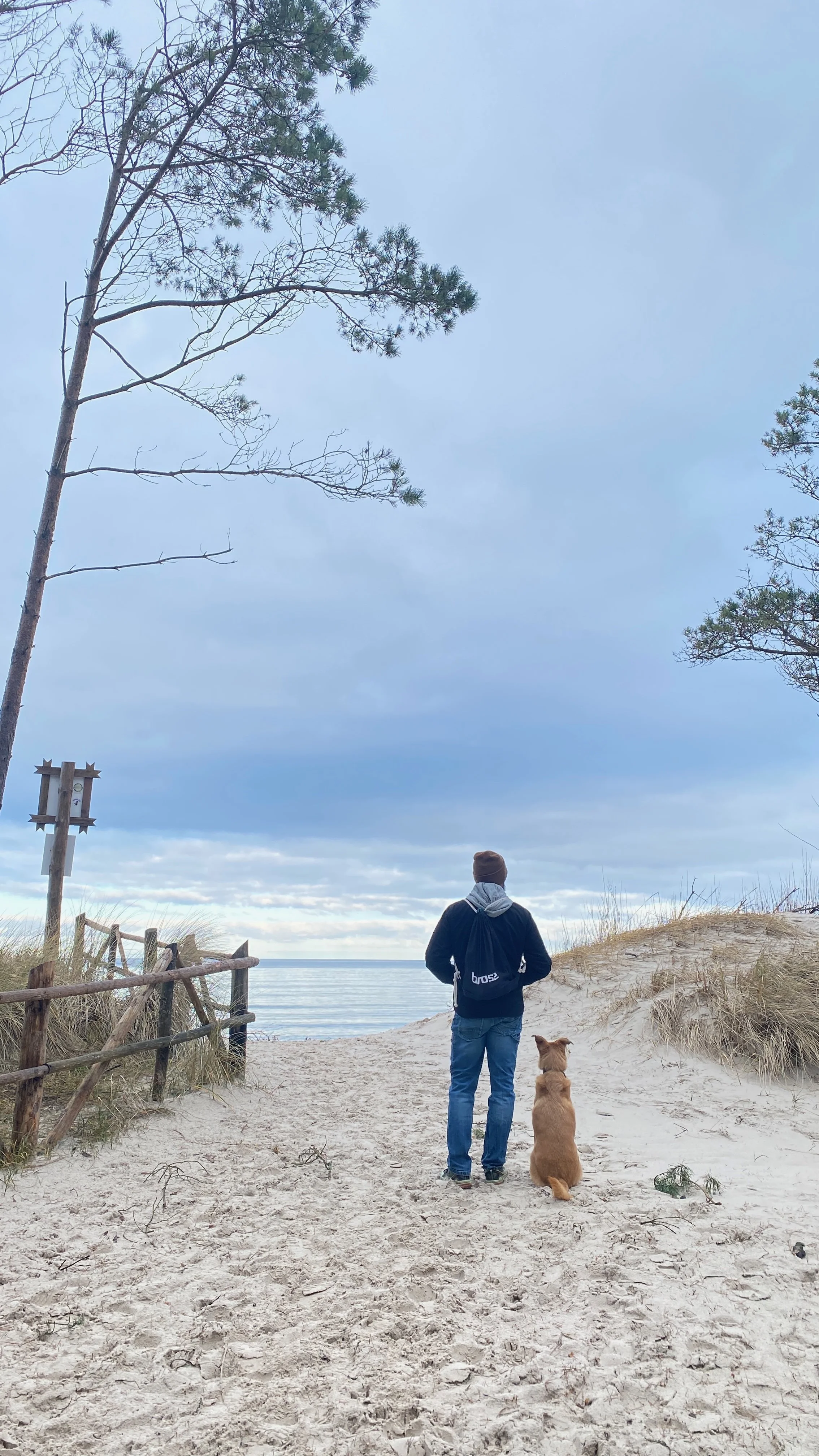 Ein Mensch steht mit einem Hund an einem Strand, blickt aufs Meer, umgeben von Sanddünen und Strandpflanzen, unter einem bewölkten Himmel.