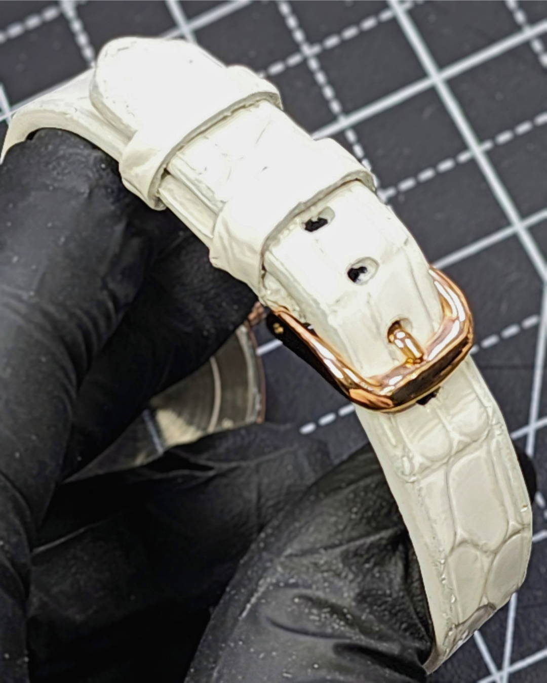 White Alligator Back.png