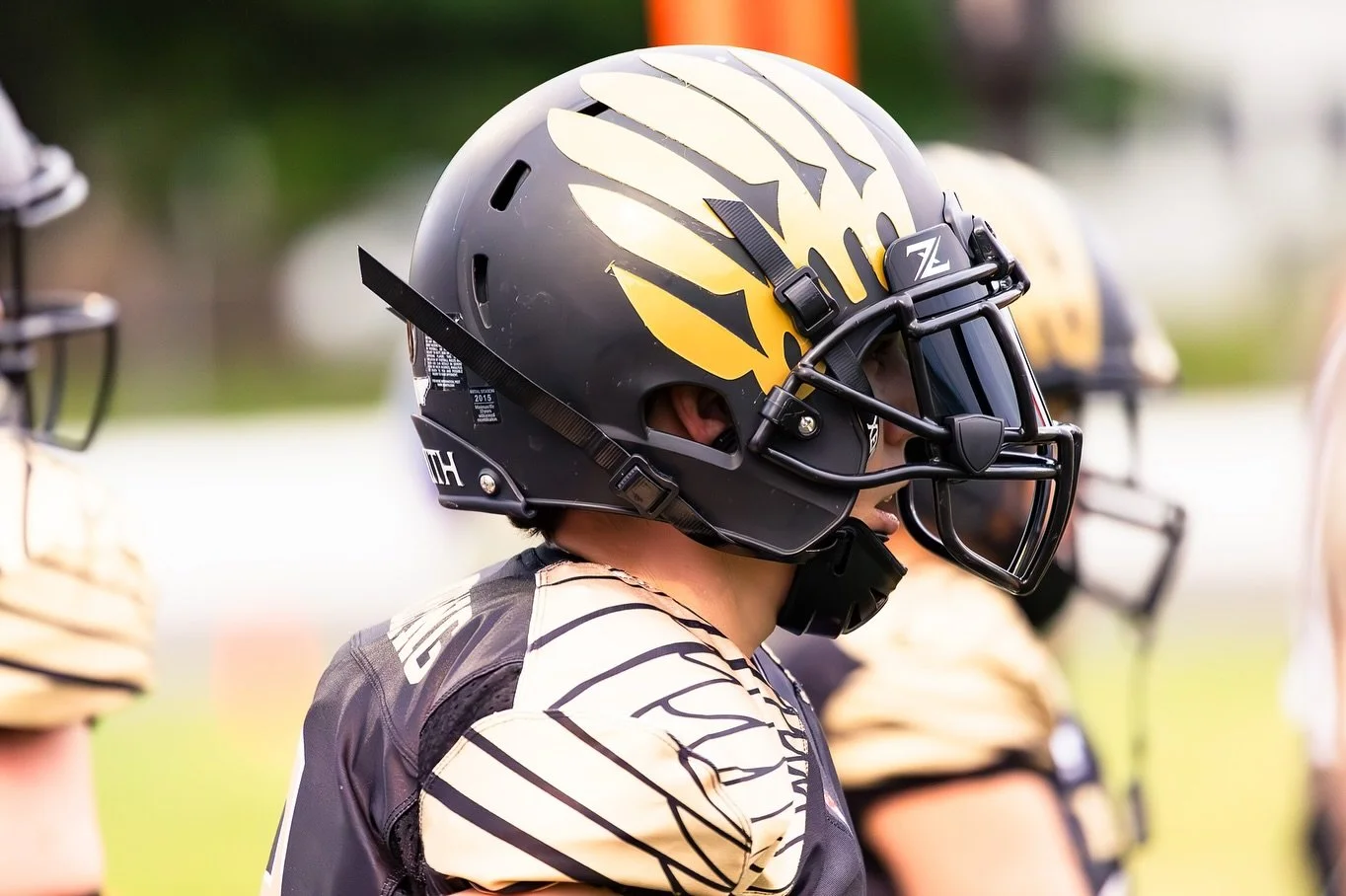 Valkyrie Side Profile.jpg