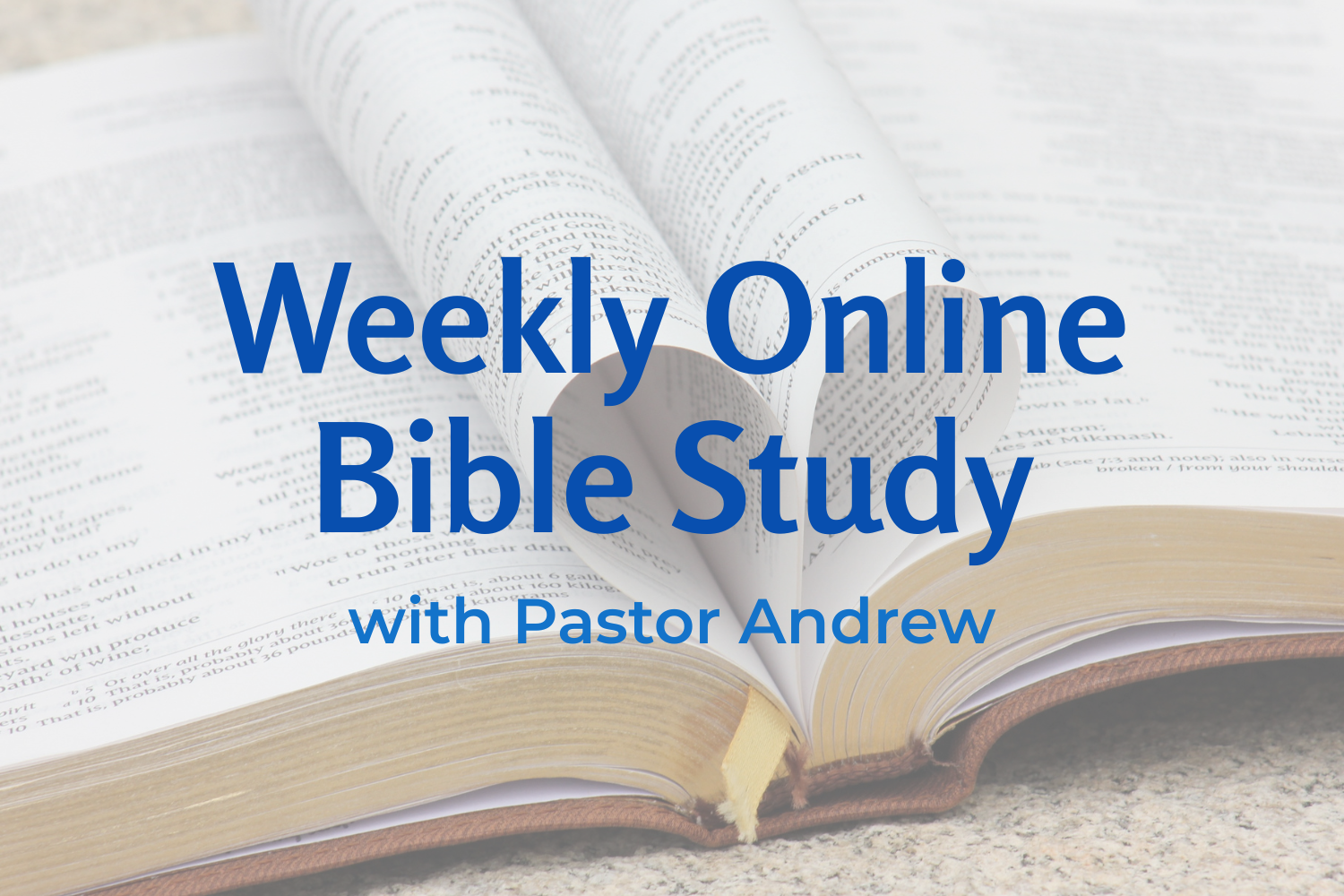 Weekly Online Bible Study