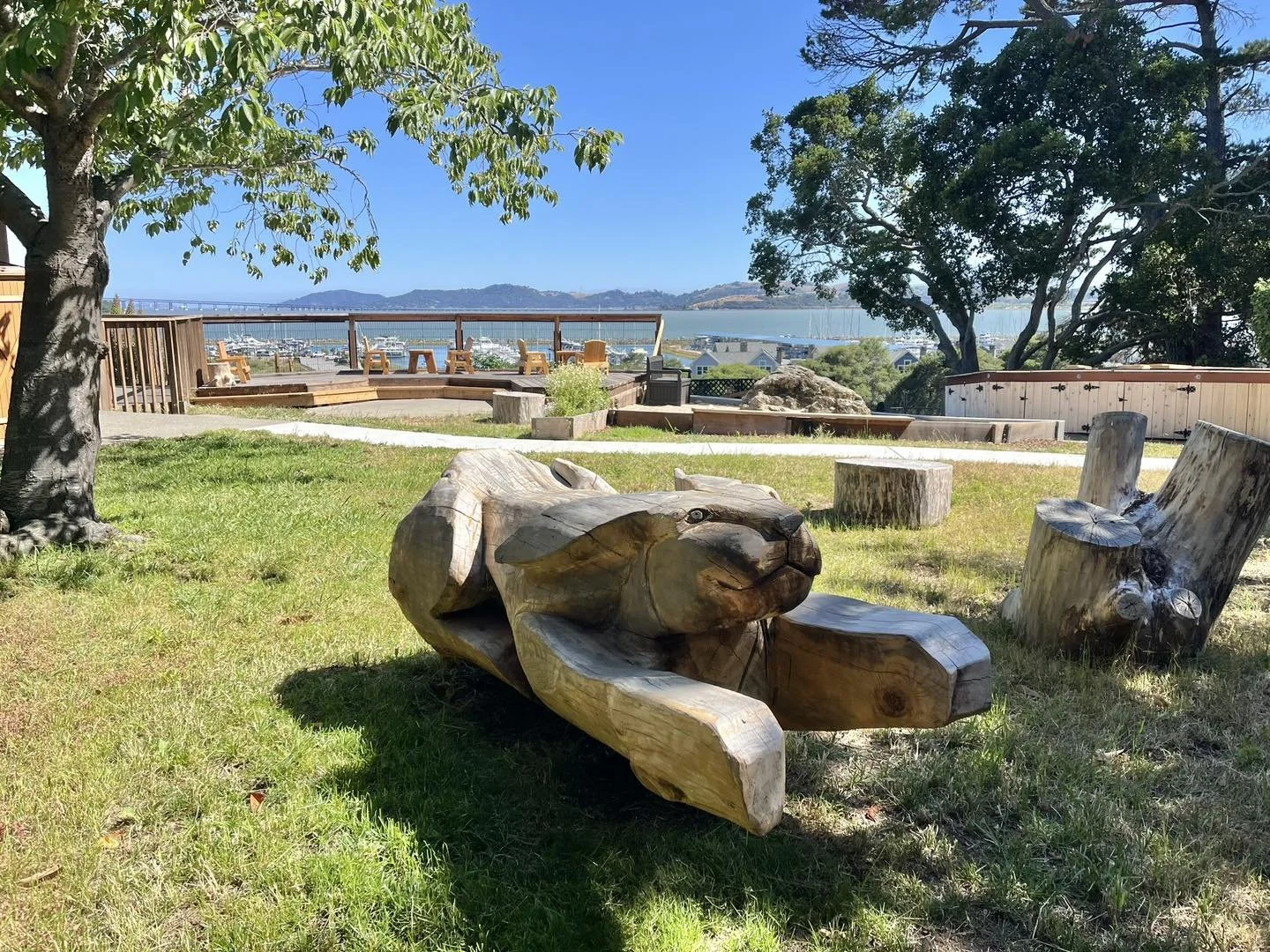 A grassy park area with driftwood sculptures and trees, overlooking a marina and distant hills under a clear blue sky.