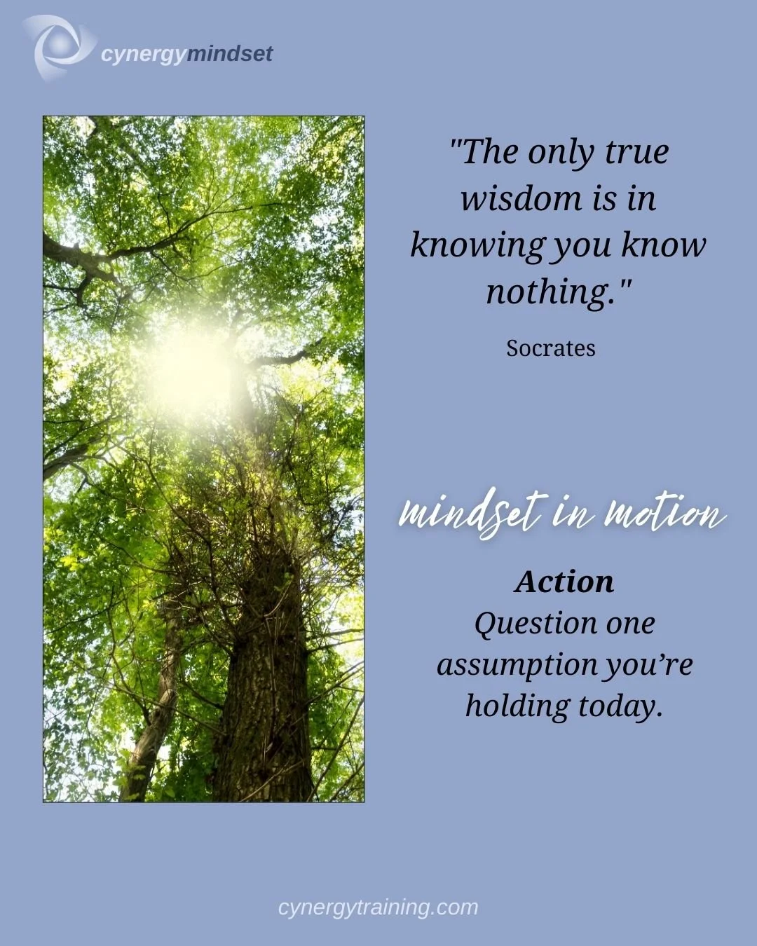 Cynergy Mindset: The Wisdom of Not Knowing