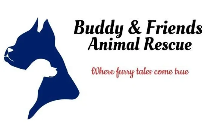 Logo for Buddy & Friends Animal Rescue featuring a navy blue silhouette of a dog and a white cat inside it, with the organization name and slogan 'Where furry tales come true'.