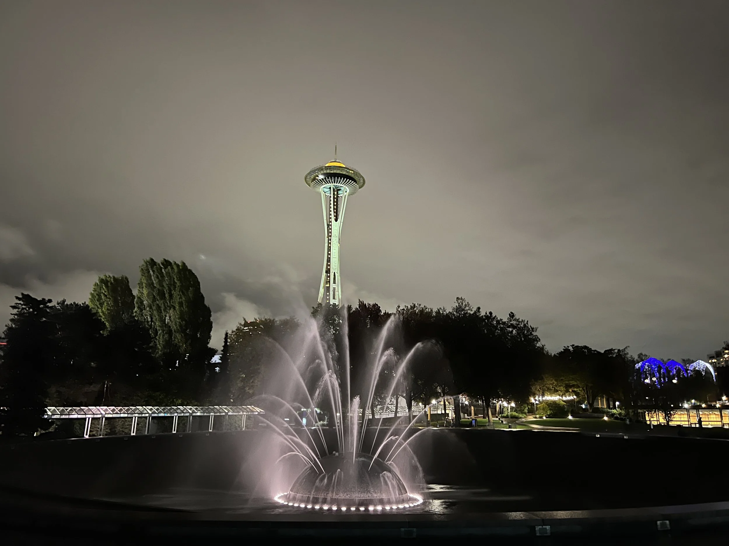 Nighttime view of the Space Needle in Seattle, Washington, with illuminated fountains in the foreground and trees visible at the bottom.