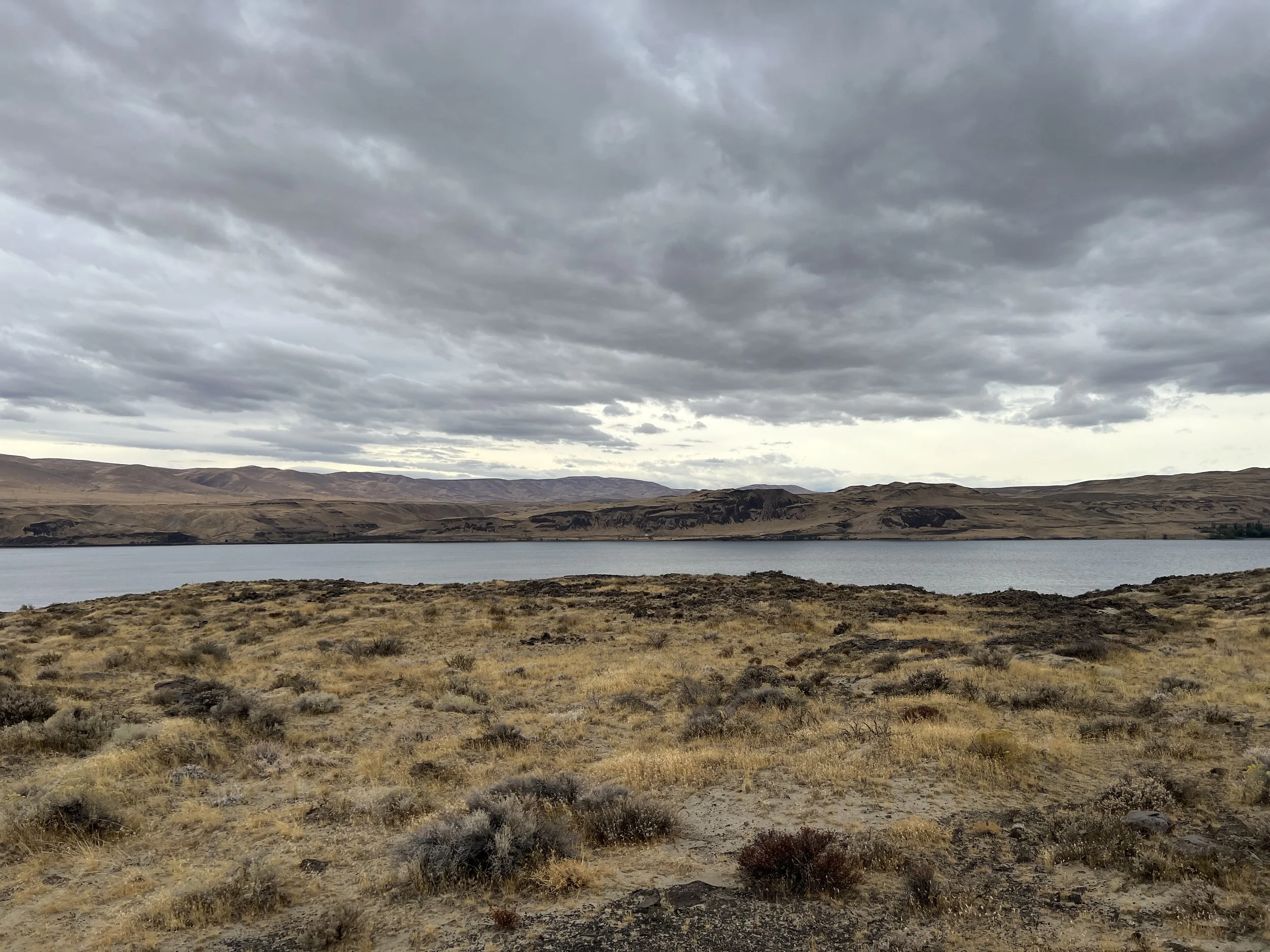 Gray cloudy sky over a landscape of brown hills and a body of water with sparse desert vegetation in the foreground.