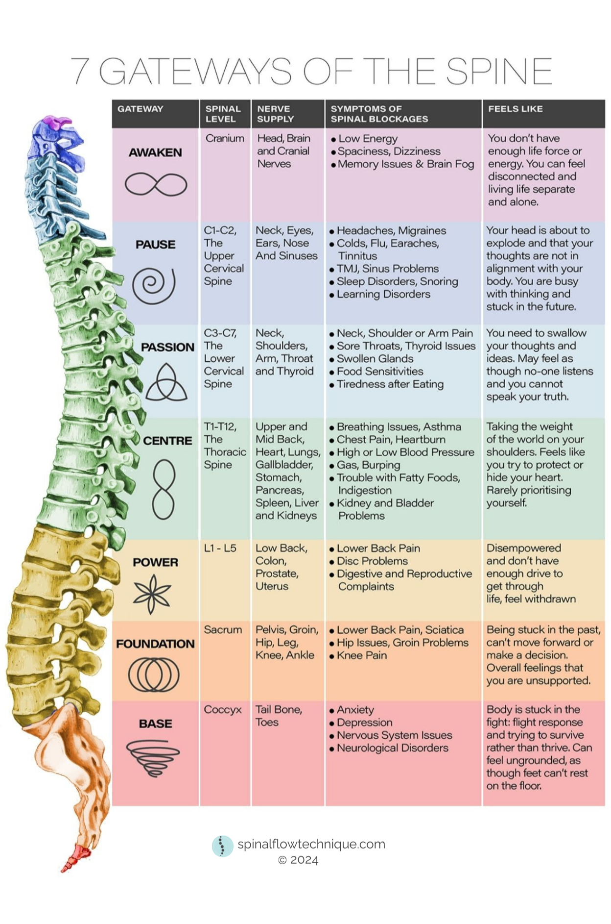 Educational Spinal Flow Technique chart showing the 7 Gateways of the Spine — from Base to Awaken — detailing how spinal blockages affect nerve supply and emotional wellbeing in Hamilton, NZ.