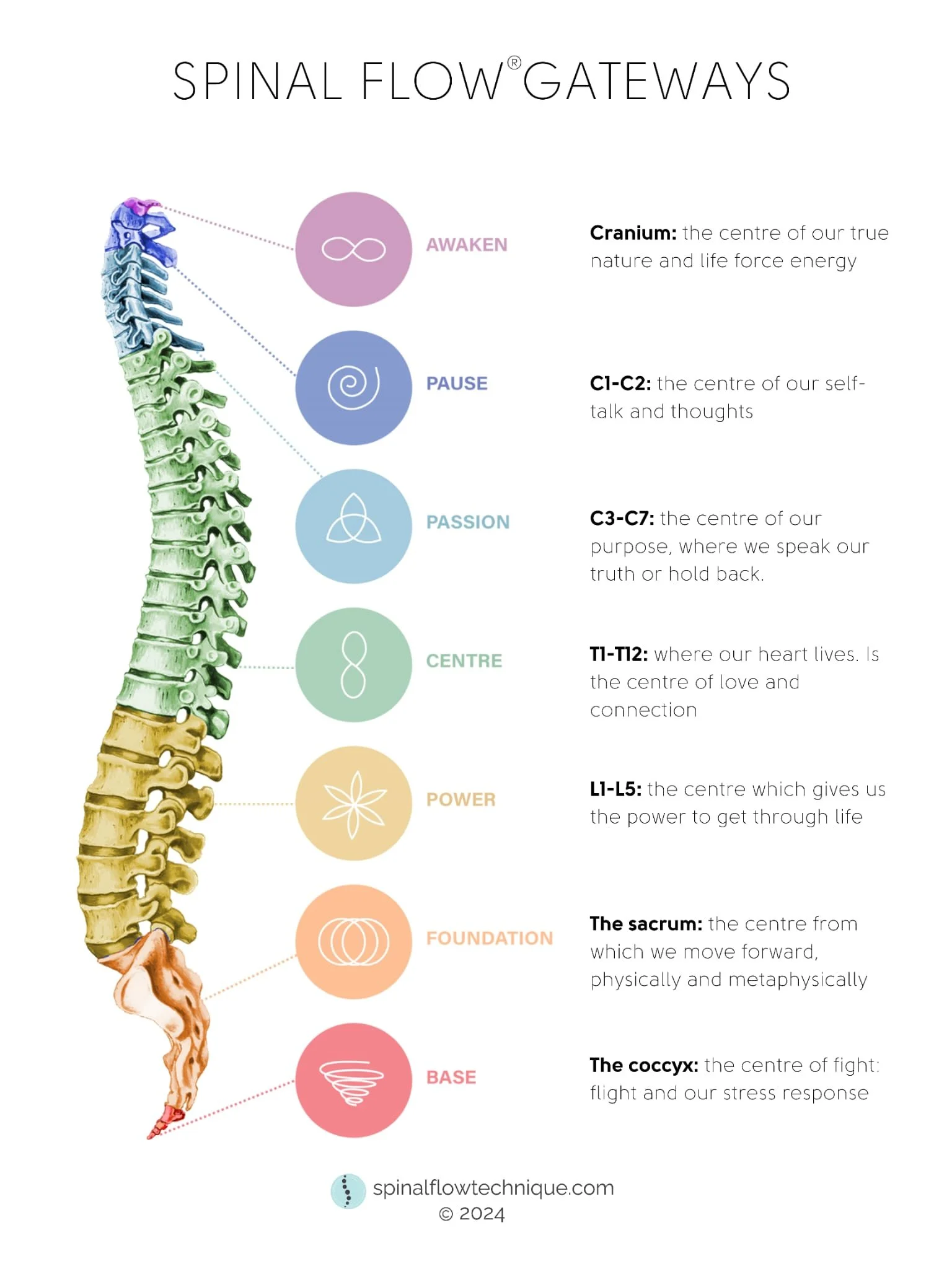 Spinal Flow technique NZ