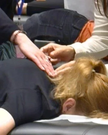 Spinal Flow blockages and stress patterns Hamilton