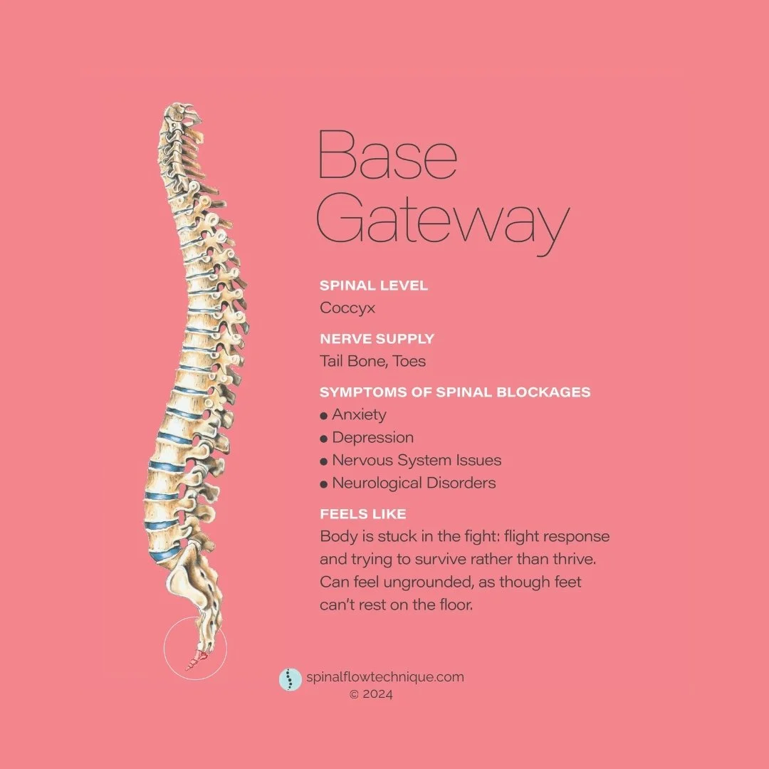 nervous system calm for stress