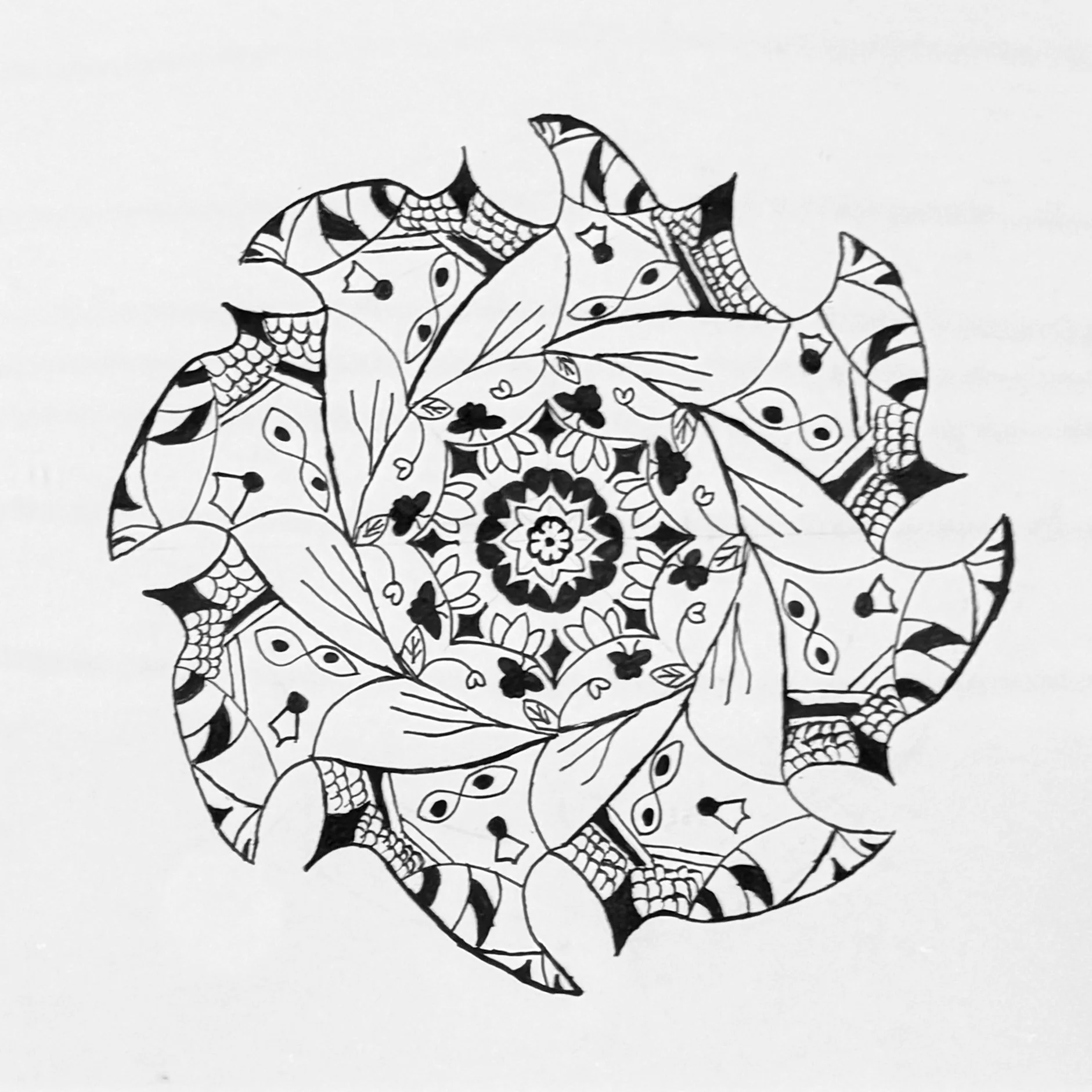 66476EF1-20DF-41EB-8DD1-F7DC1DD58F52.jpg