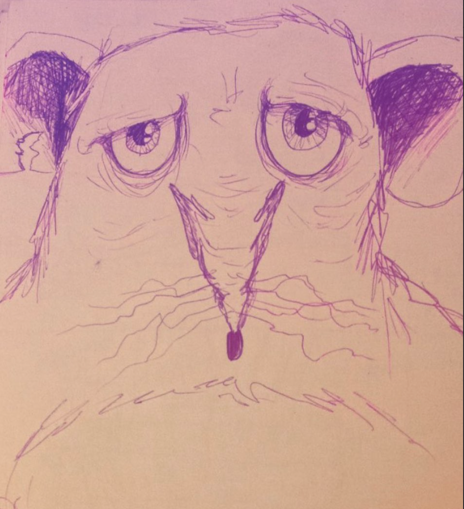 sadrat.png