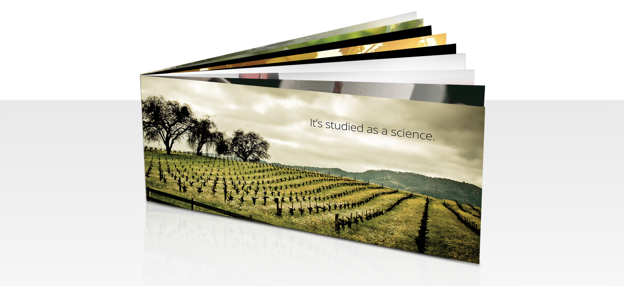 Wine_Brochure_01.png