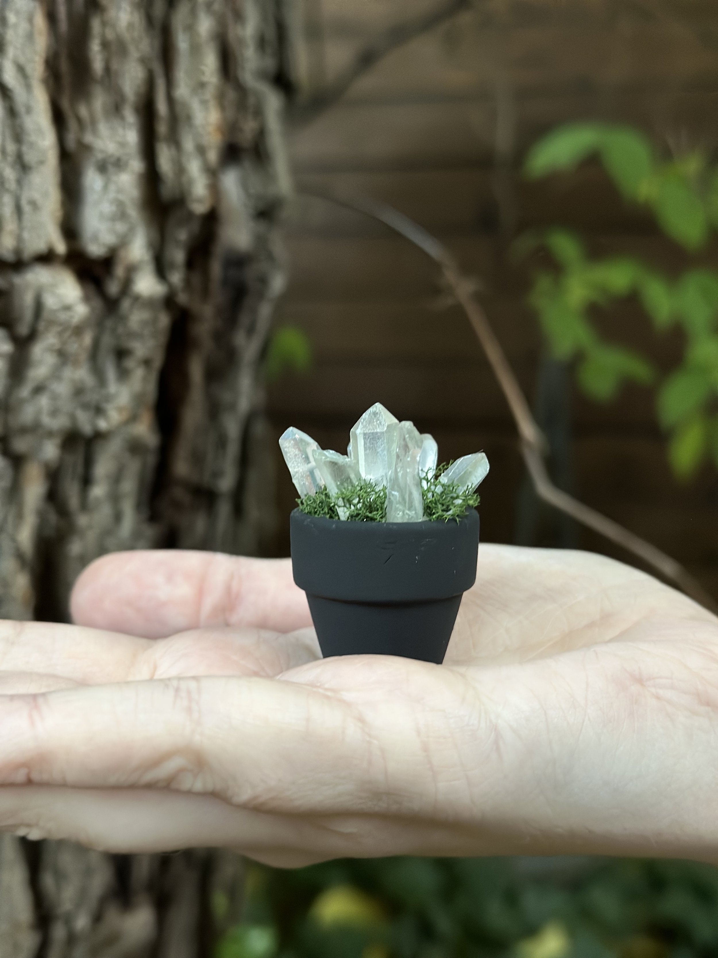Small black pot with clear quartz crystals and green moss, held on a person's hand outdoors.
