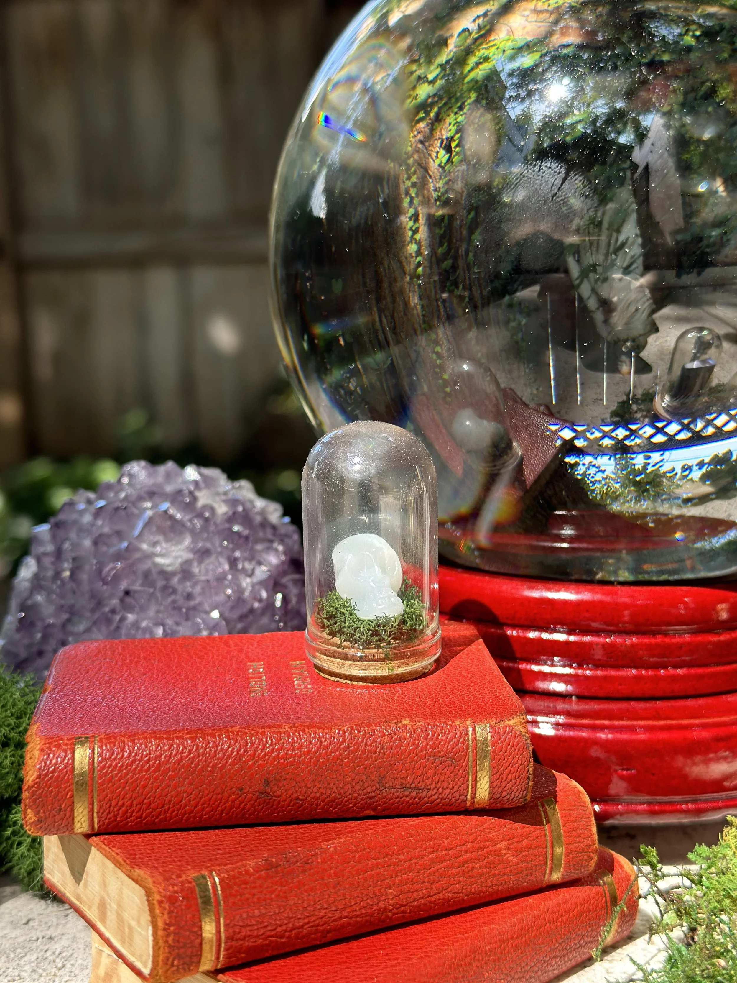 A small glass dome cover resting on two red textured hardcover books with gold accents, and a large clear sphere, possibly a globe or decorative object, behind them outdoors. The scene includes a purple mineral or crystal cluster and some greenery, with sunlight reflecting off the glass surfaces.