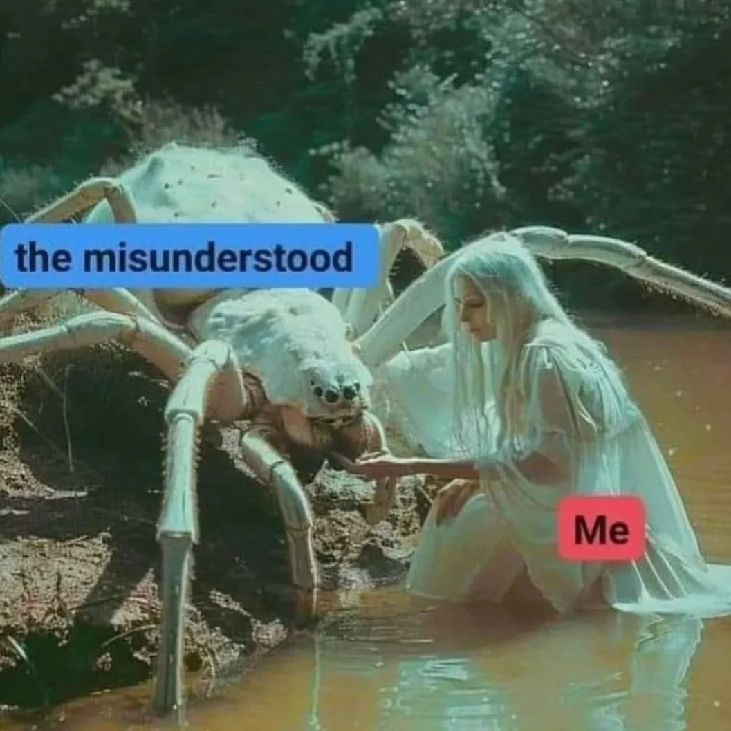 A person dressed as a fairy kneels by a large white spider with human-like eyes, on the edge of water, with a background of trees. Text labels: "the misunderstood" on the spider and "Me" on the person.