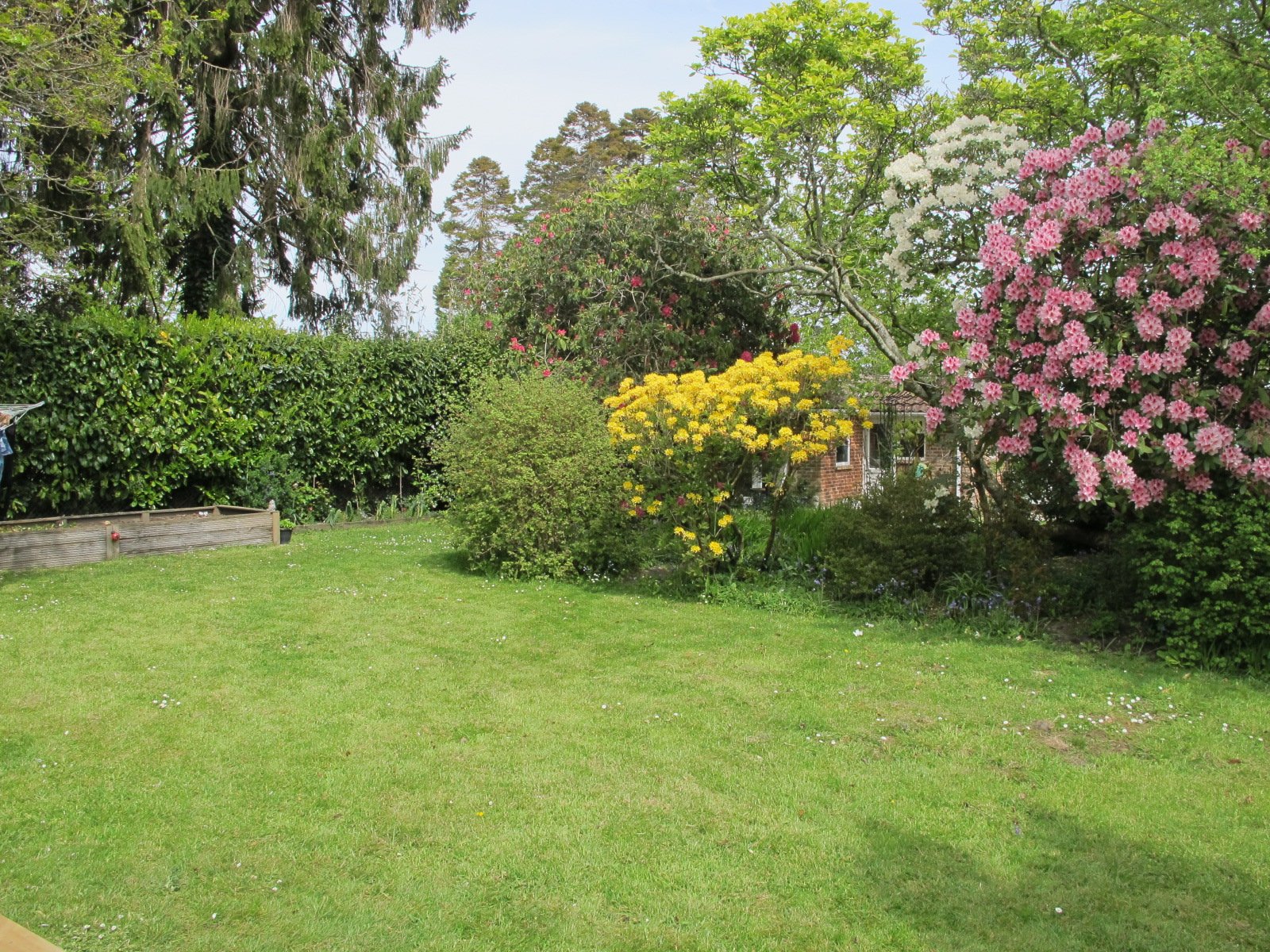new-forest-self-catering-cabin-secluded-garden
