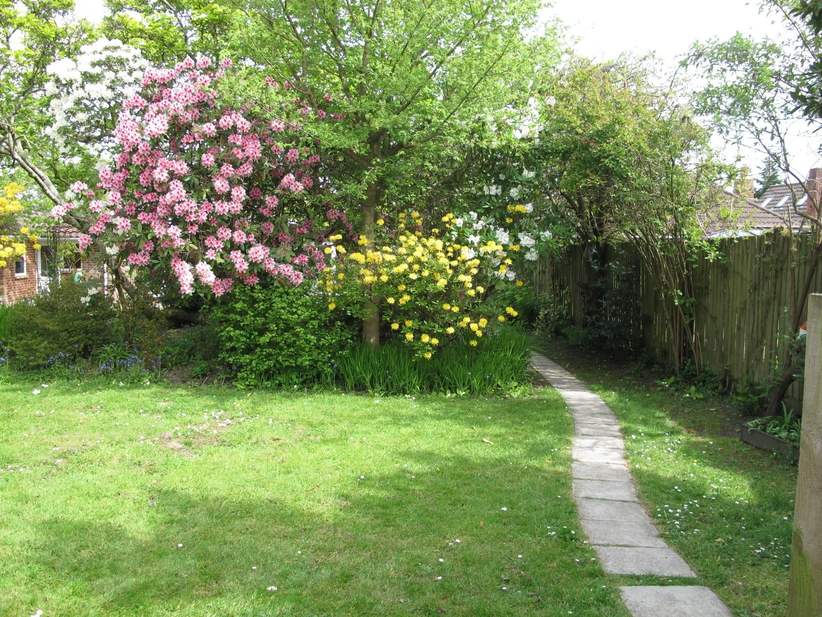 new-forest-self-catering-cabin-secluded