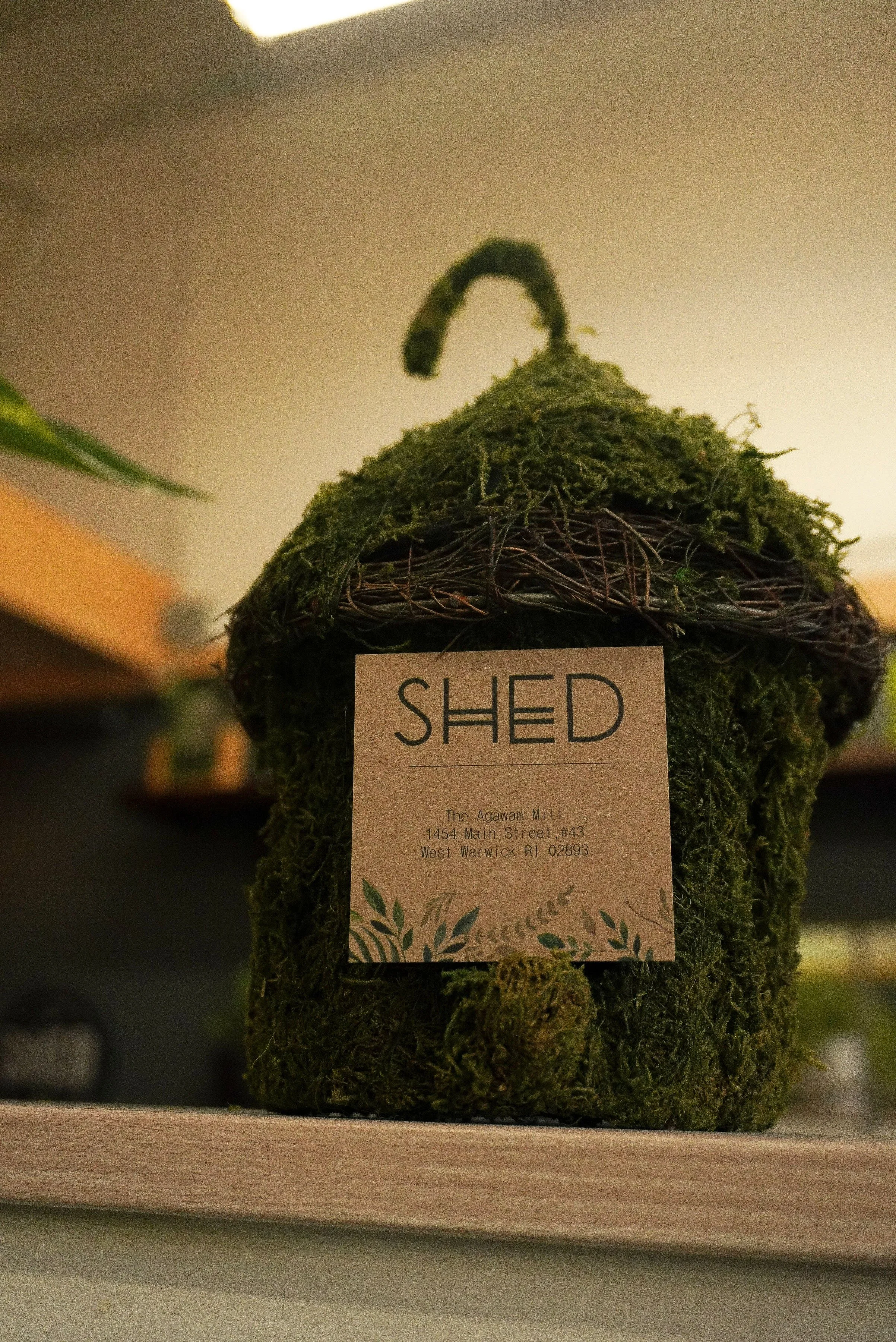 A mossy decorative birdhouse with a business card attached that reads "SHED" and includes address details, placed on a wooden surface indoors.
