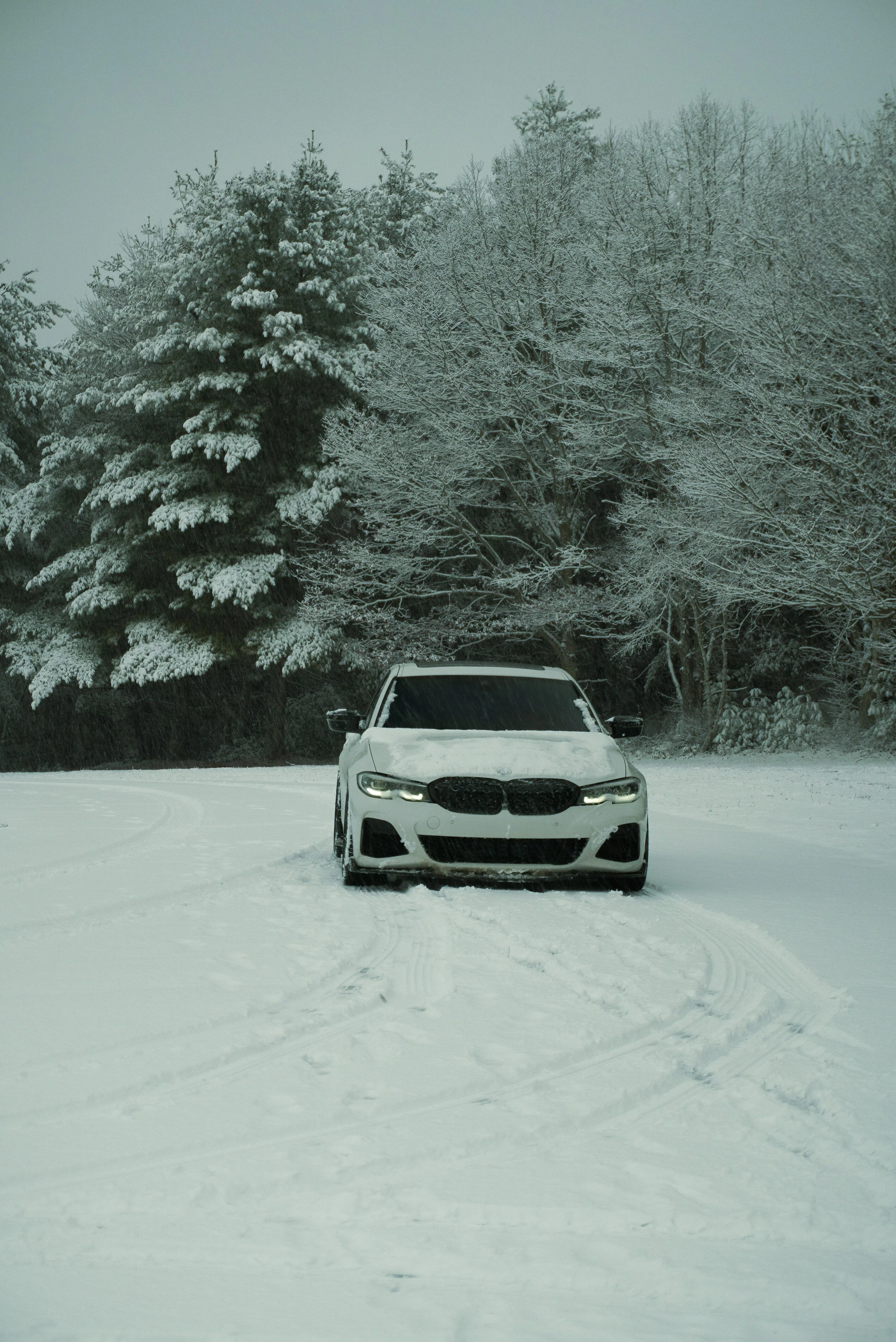 A white car parked on a snow-covered area with tire tracks in front, surrounded by snowy trees under an overcast sky.