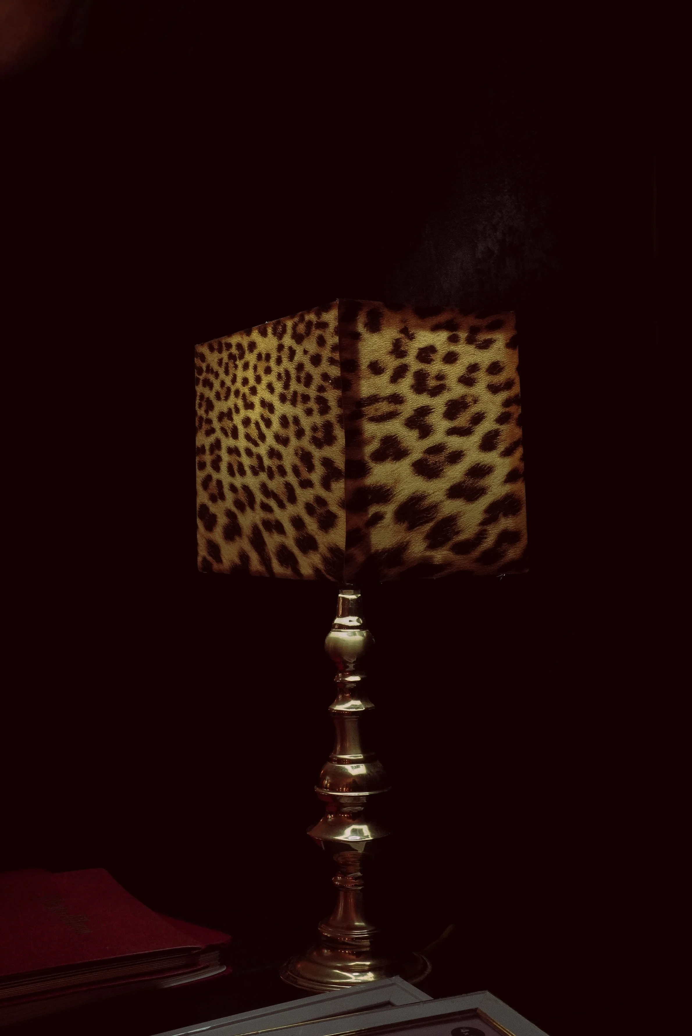 A lamp with a silver base and a leopard print lampshade on a dark background, with some books and papers at the bottom of the image.
