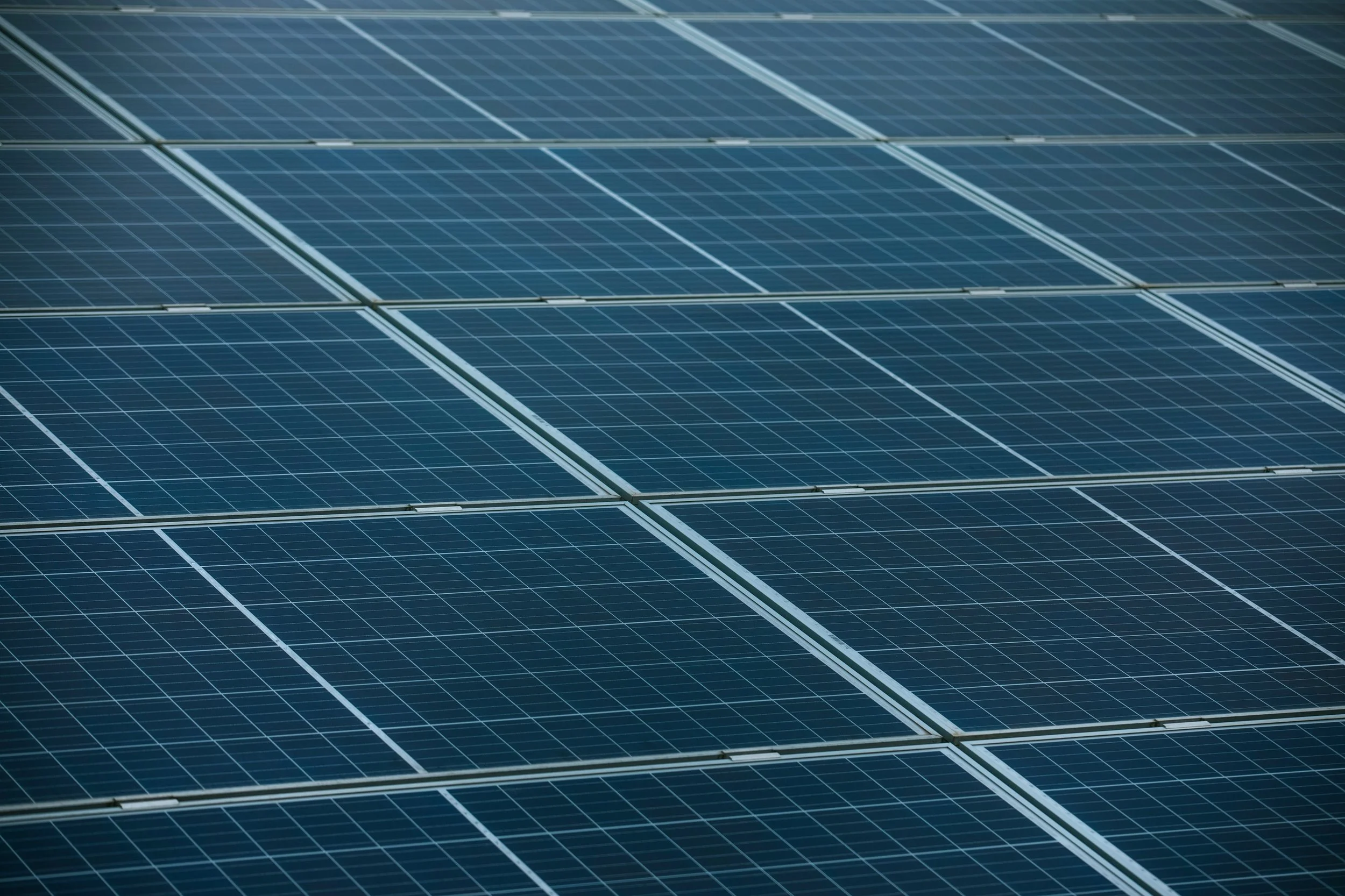 Close-up of multiple blue solar panels arranged in rows.