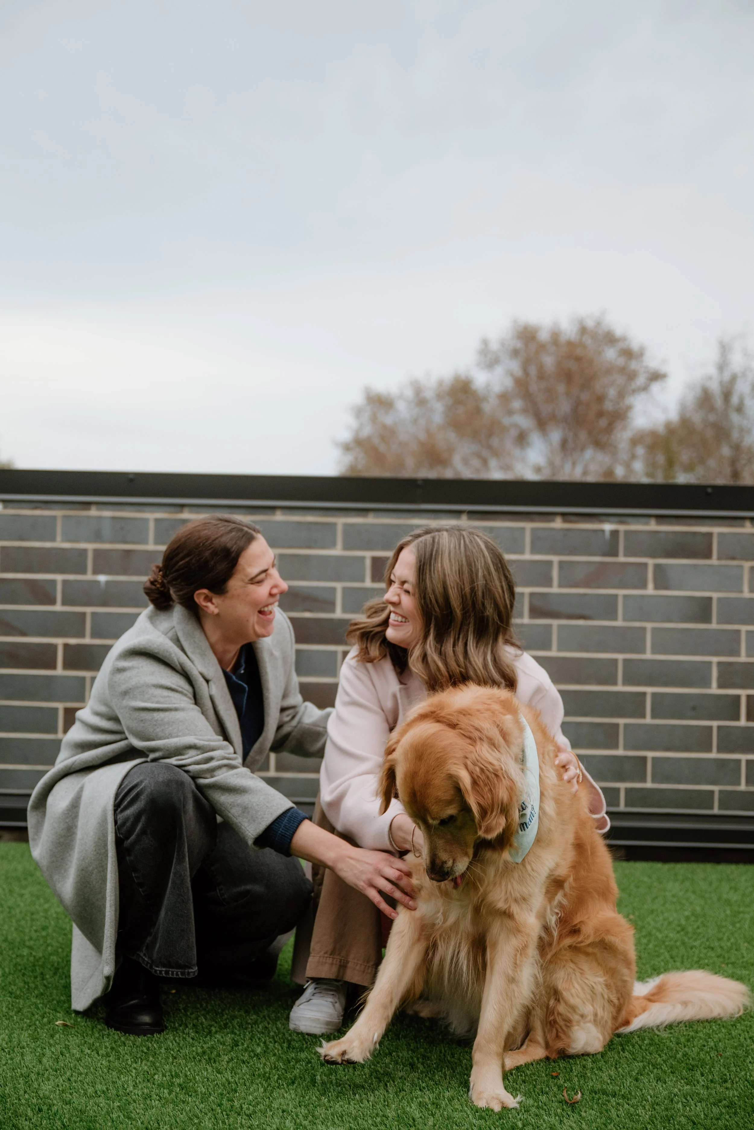 Two women smiling and interacting with a golden retriever dog in an outdoor area with grass and a brick fence.
