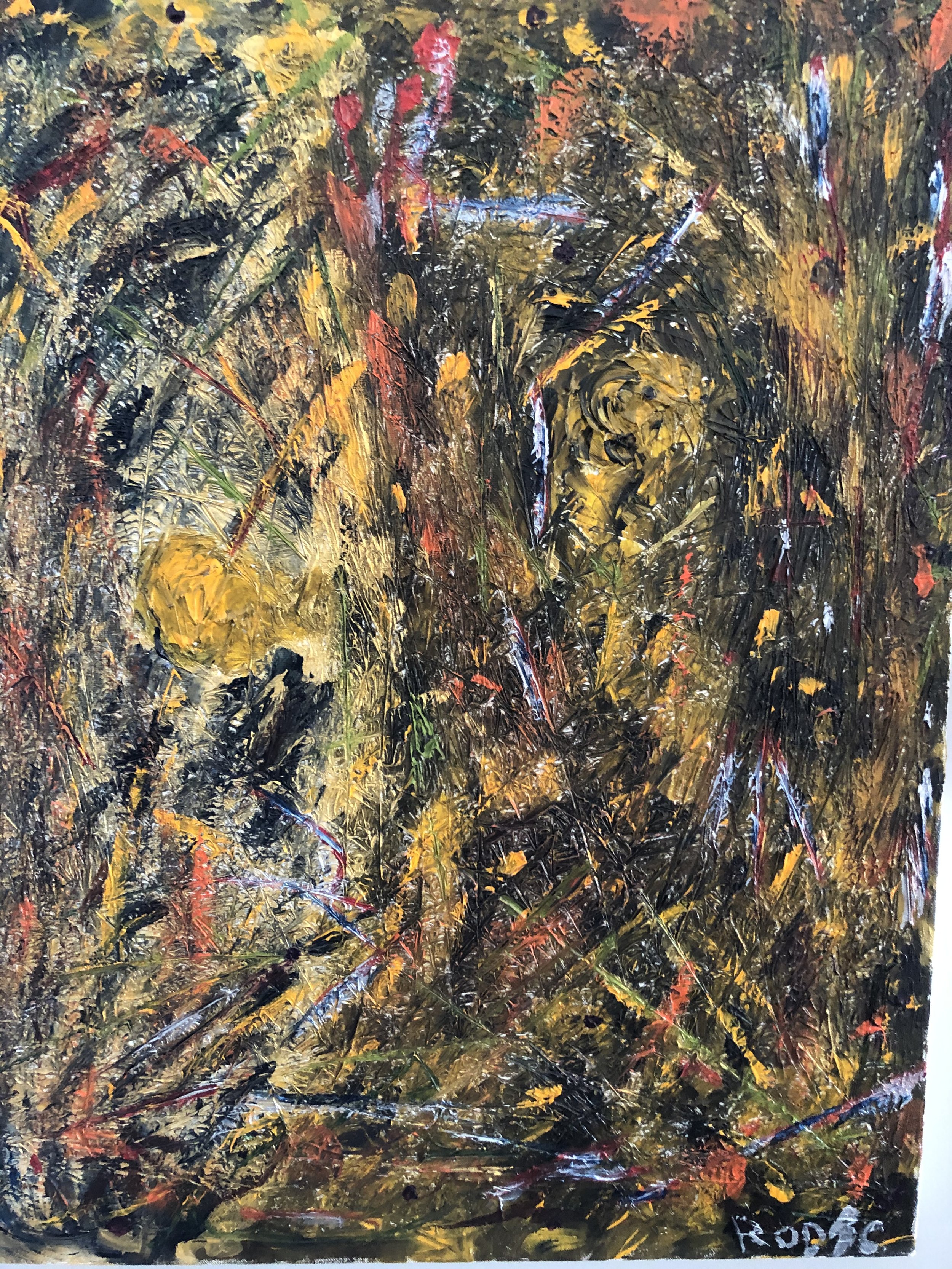 IMG_0285.jpeg